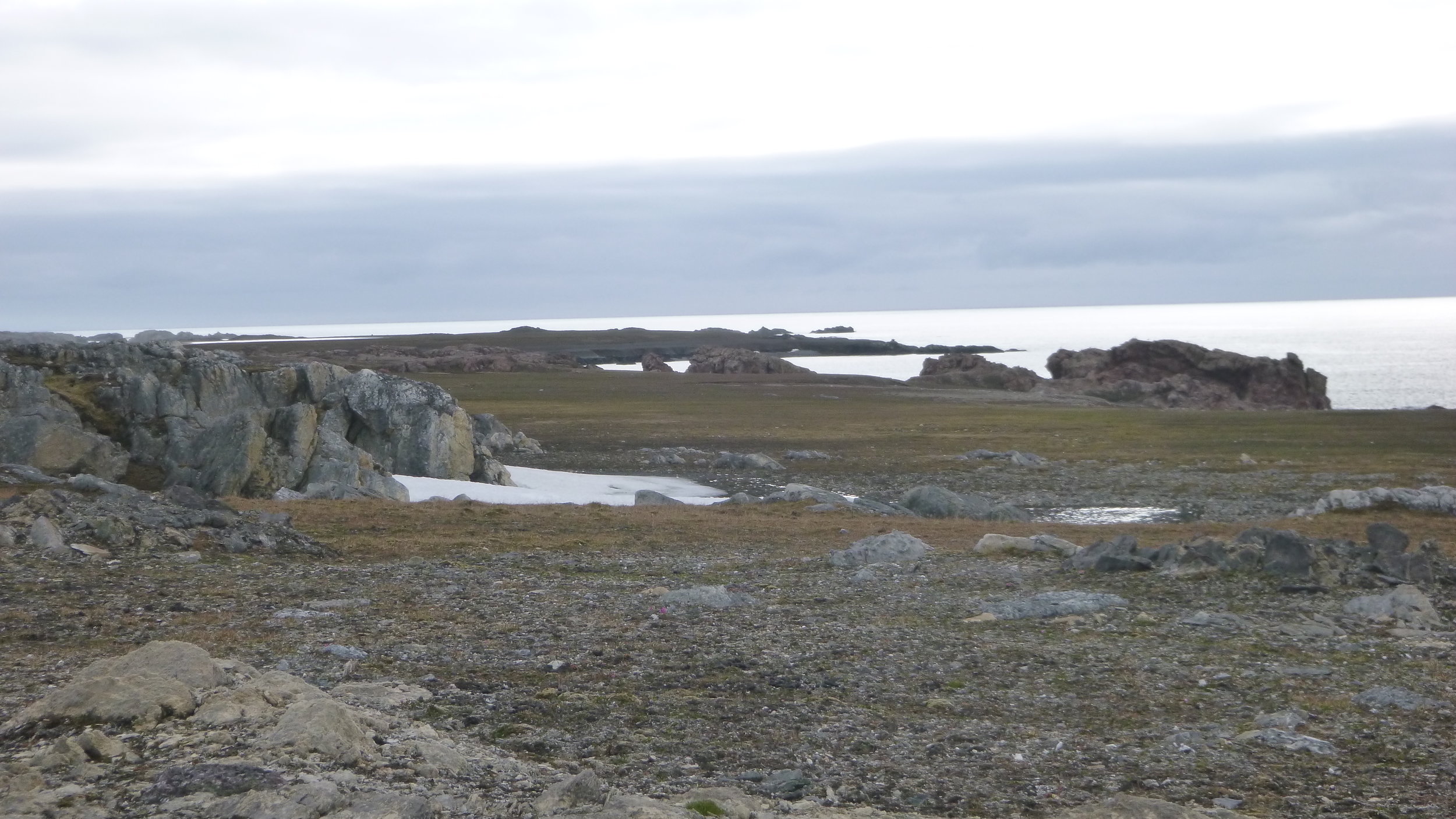 P1010001.JPG