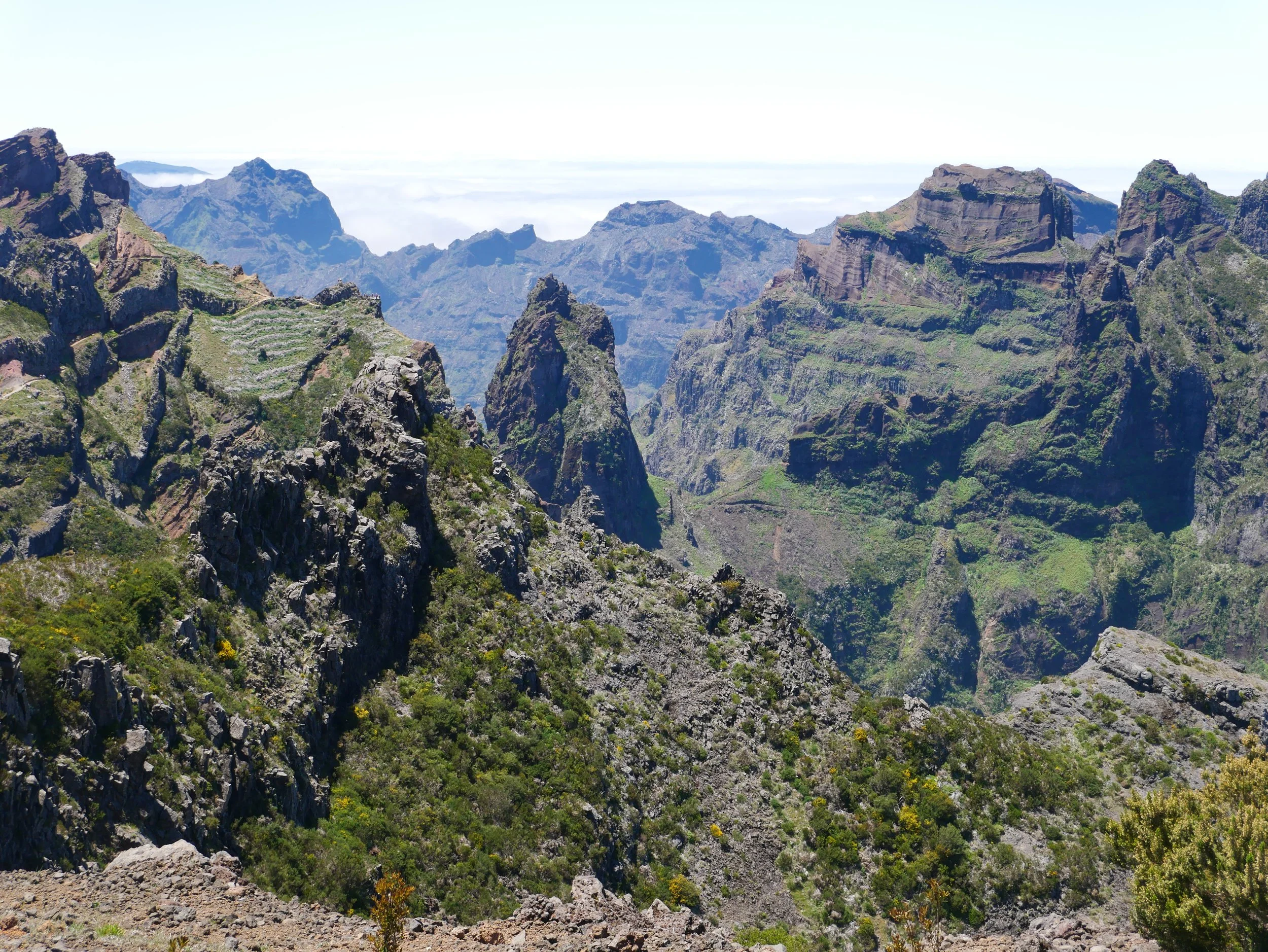 Magical Madeira in 2025