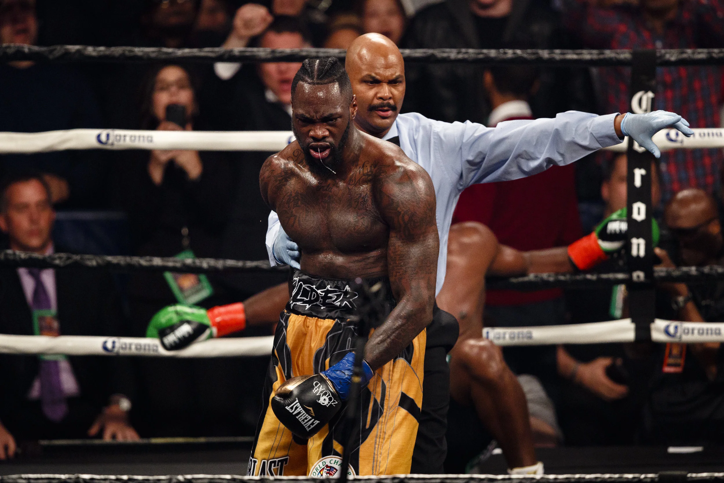 Wilder puts Ortiz down