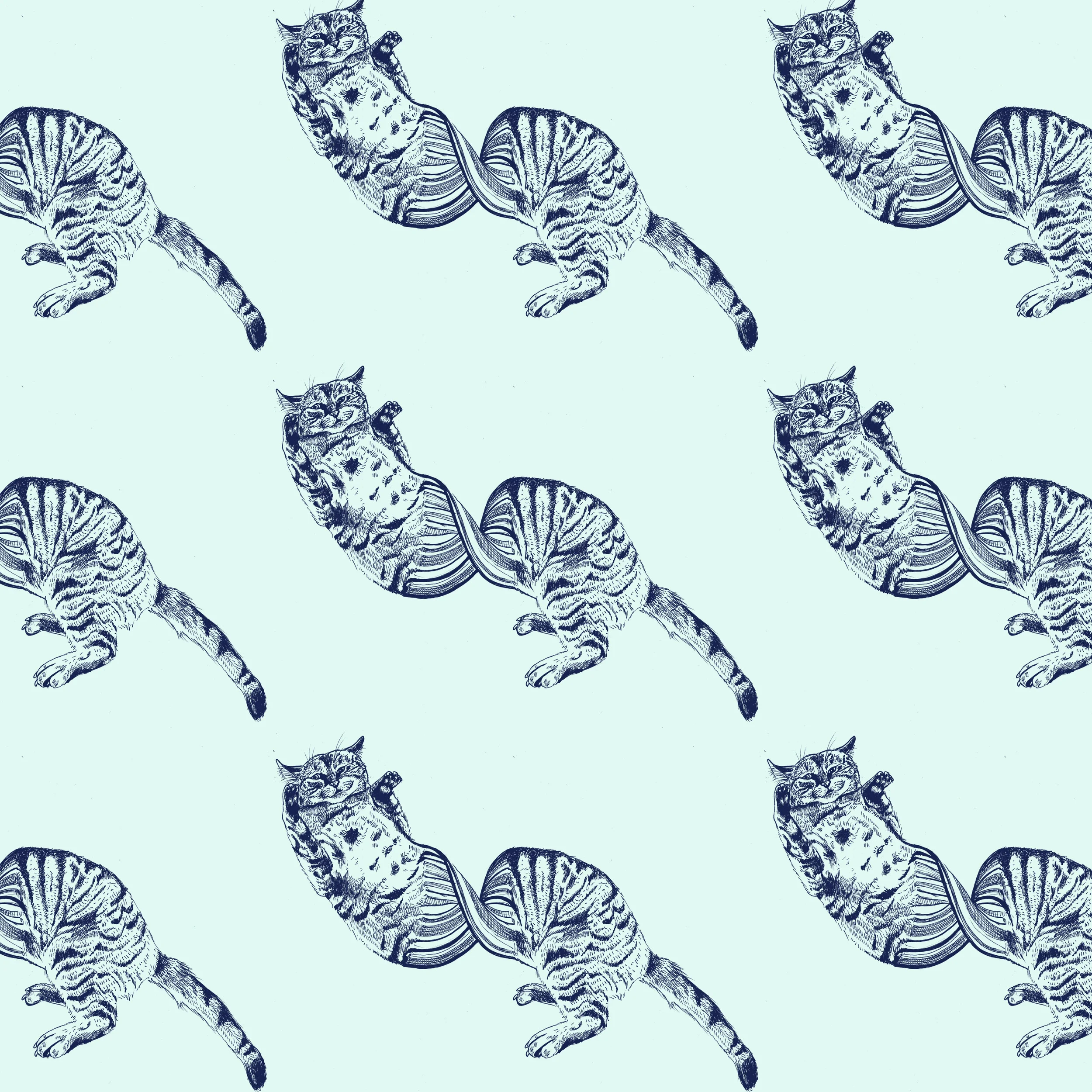 Warped Cats