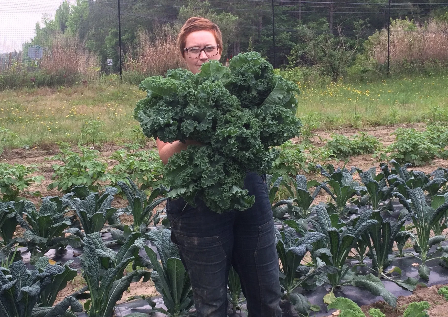 claw kale pic.jpeg