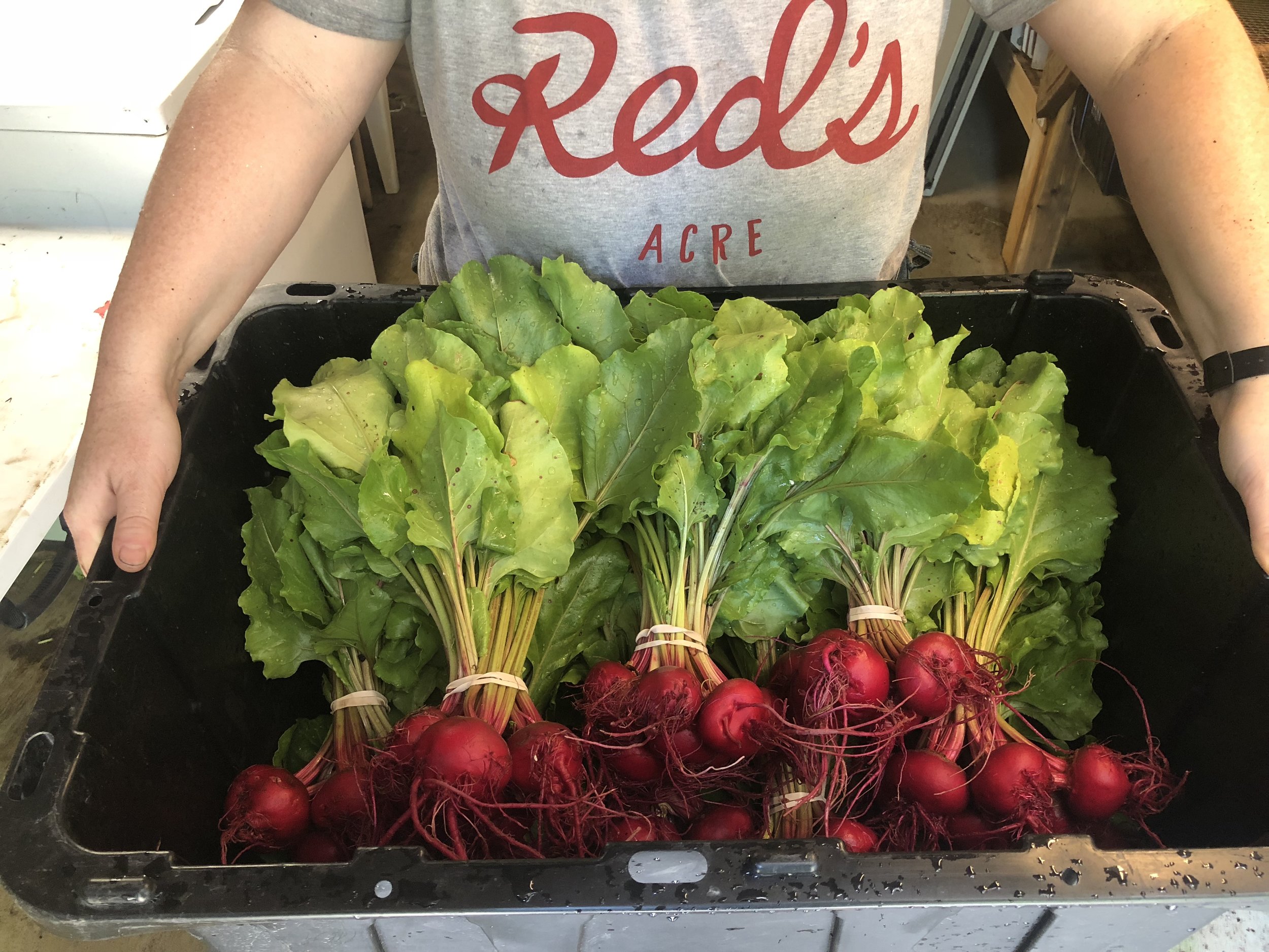 Beets crate.jpg