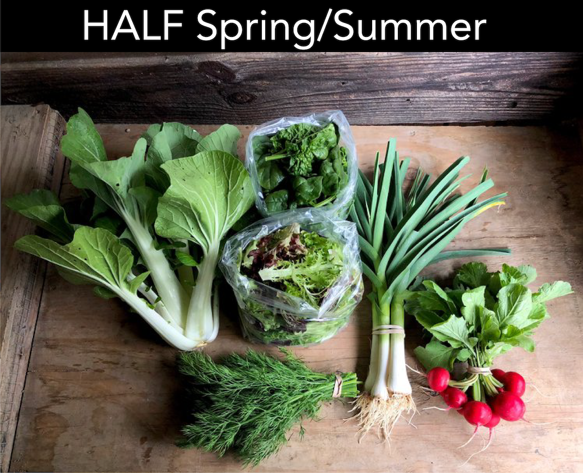 Half Spring Summer.png