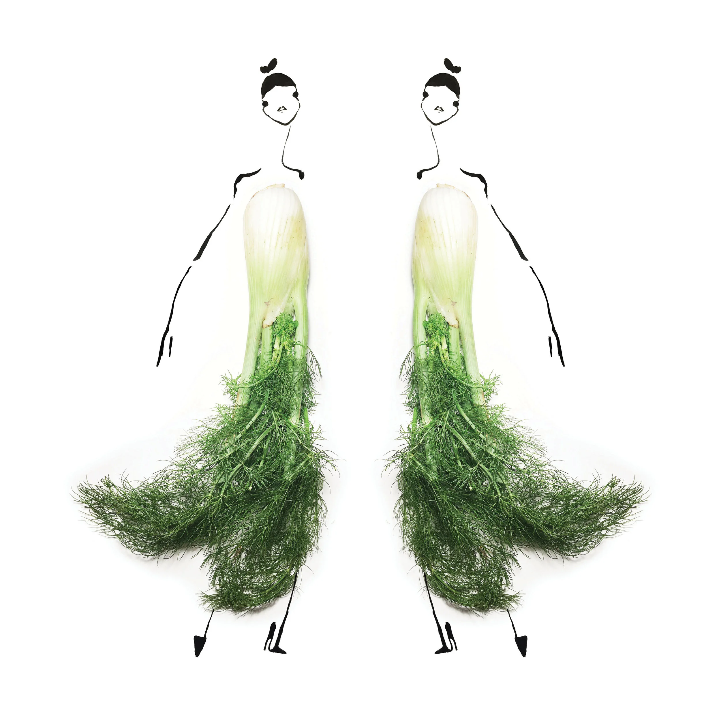 fennel.jpg
