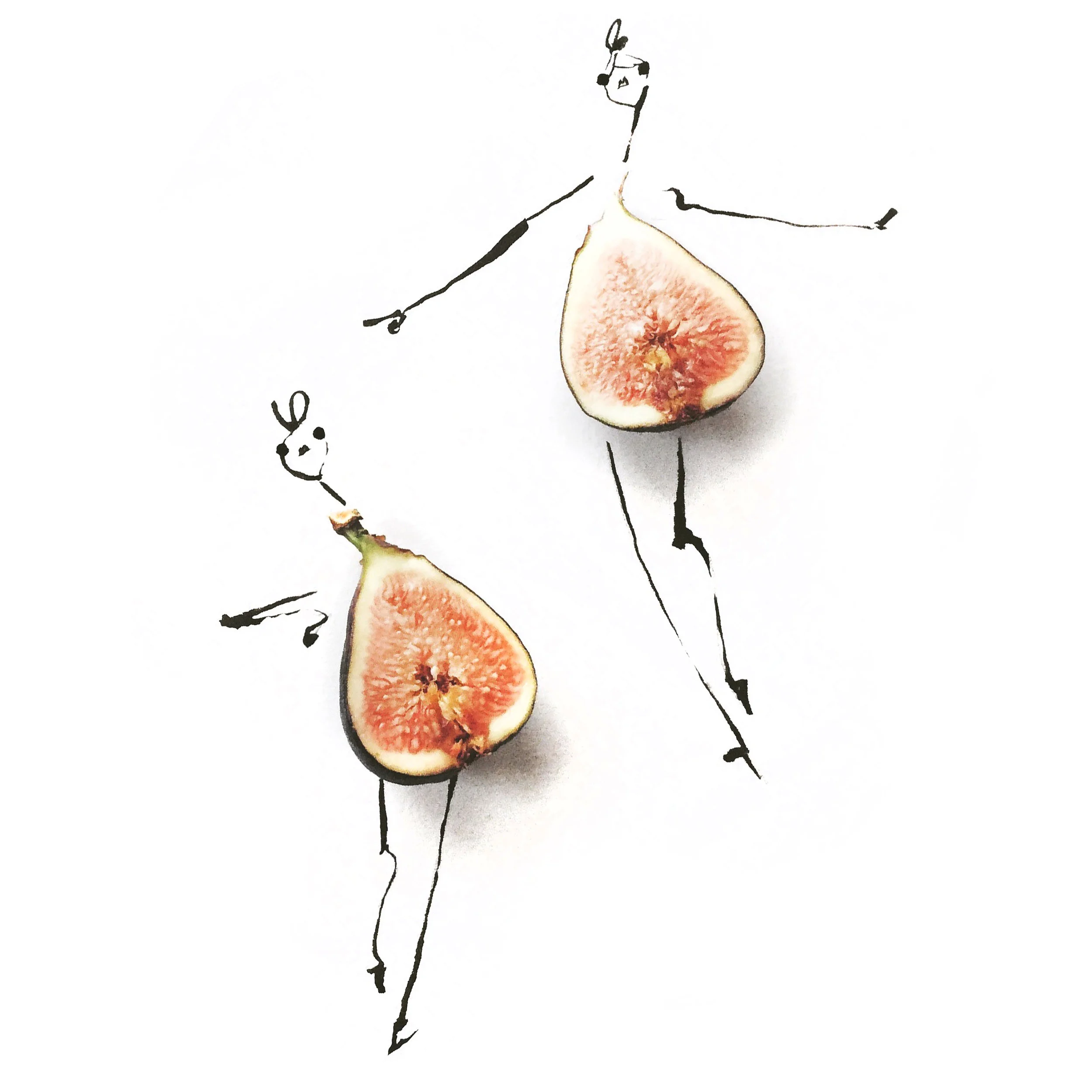 6. fig.jpg