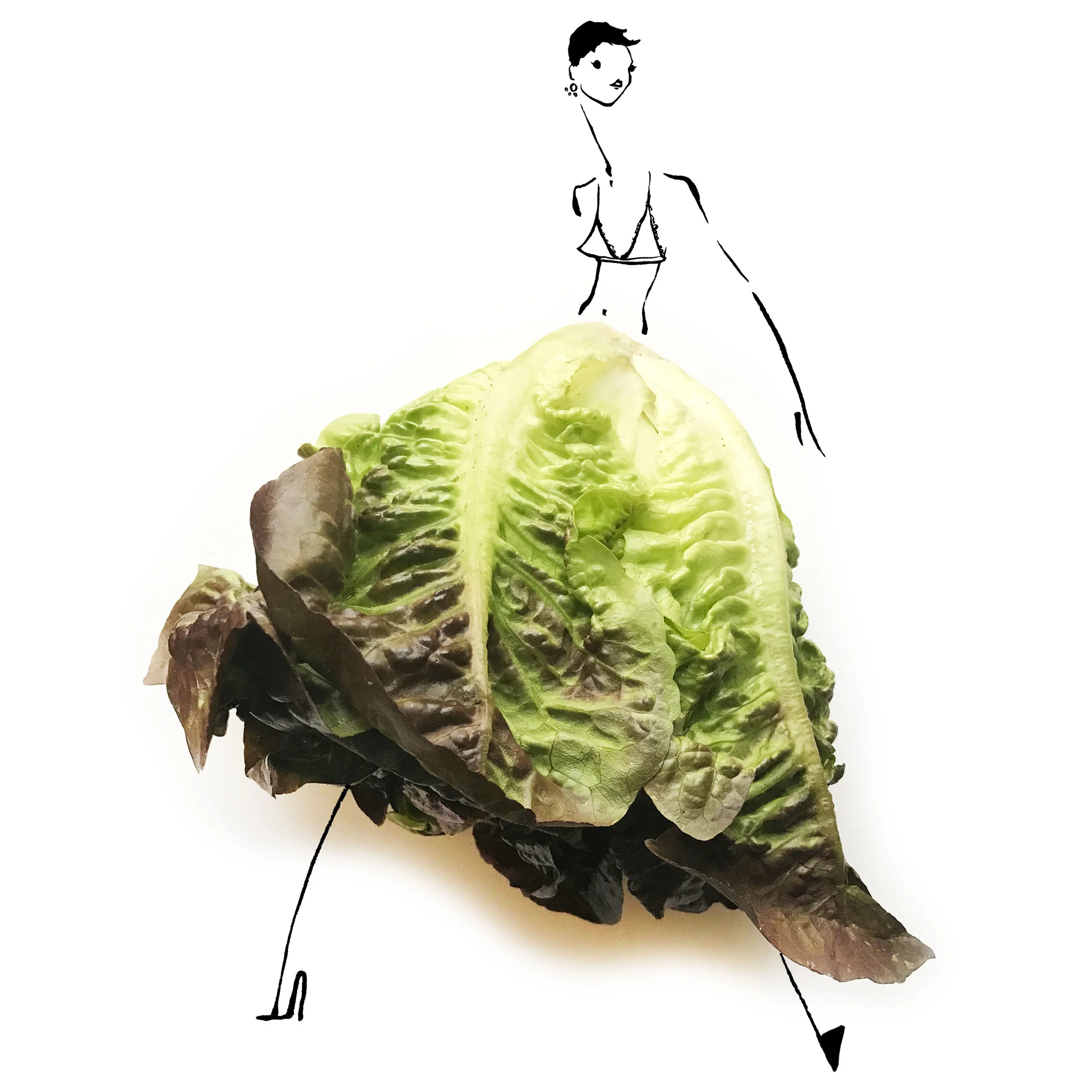 4. lettuce.jpg