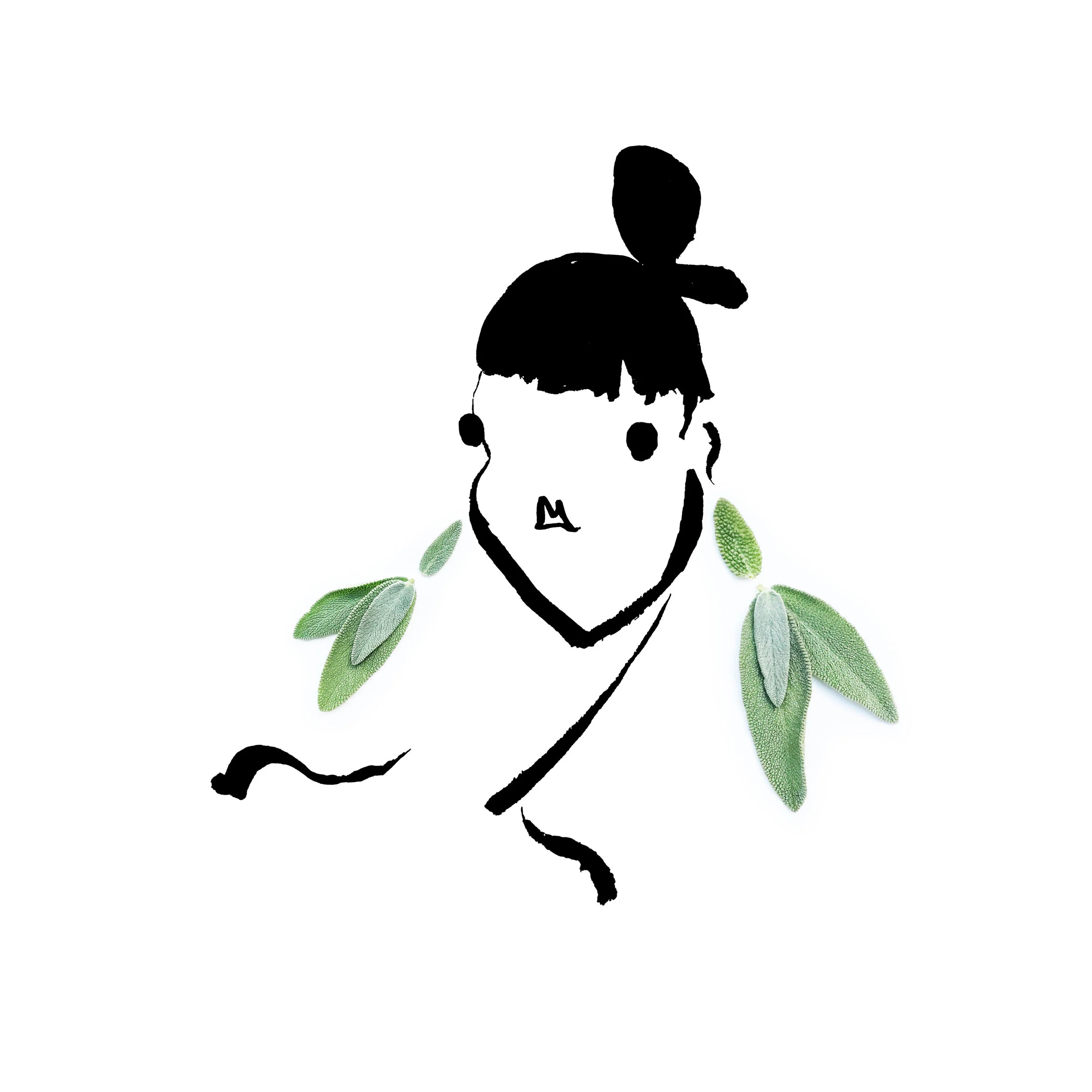 4. sage.jpg