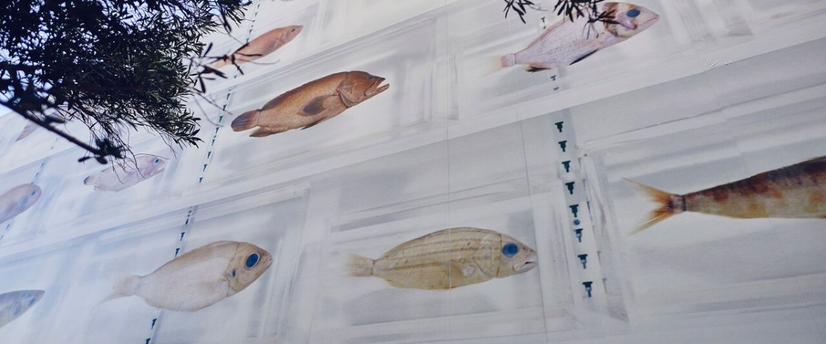 Damien Hirst Isolated Elements. Large scale photographic mural on the exterior wall of Otium.