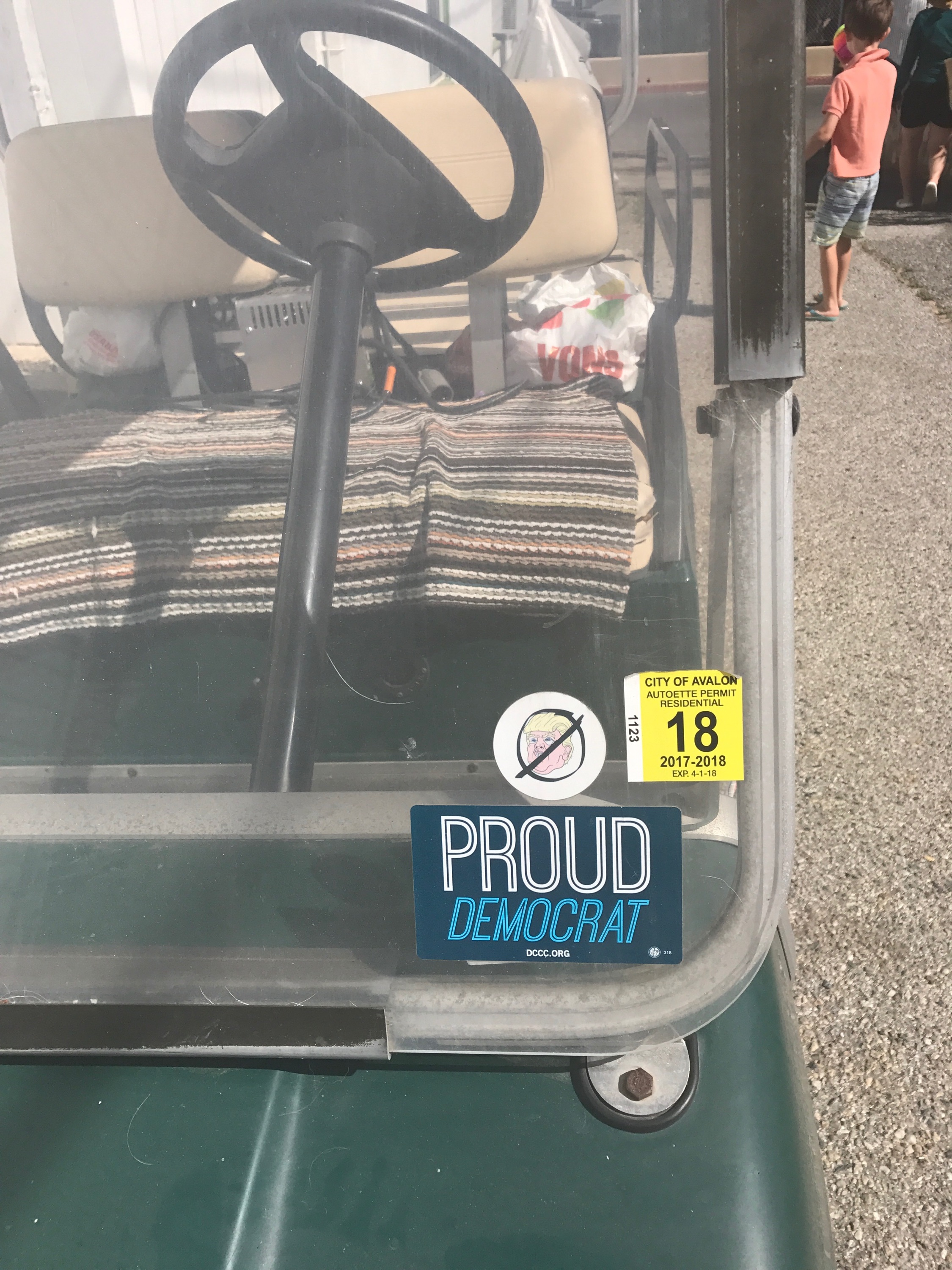catalina island proud democrat golf cart.jpg