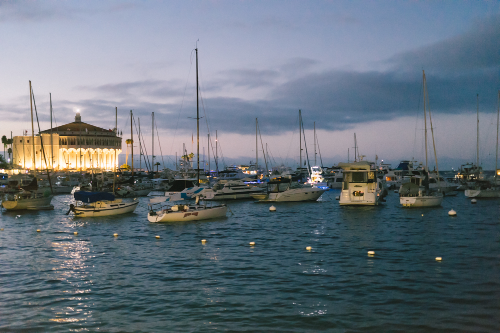 Catalina Island (73 of 73).jpg