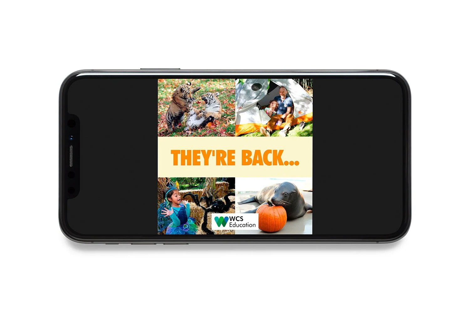 Family Programs Are BACK Video