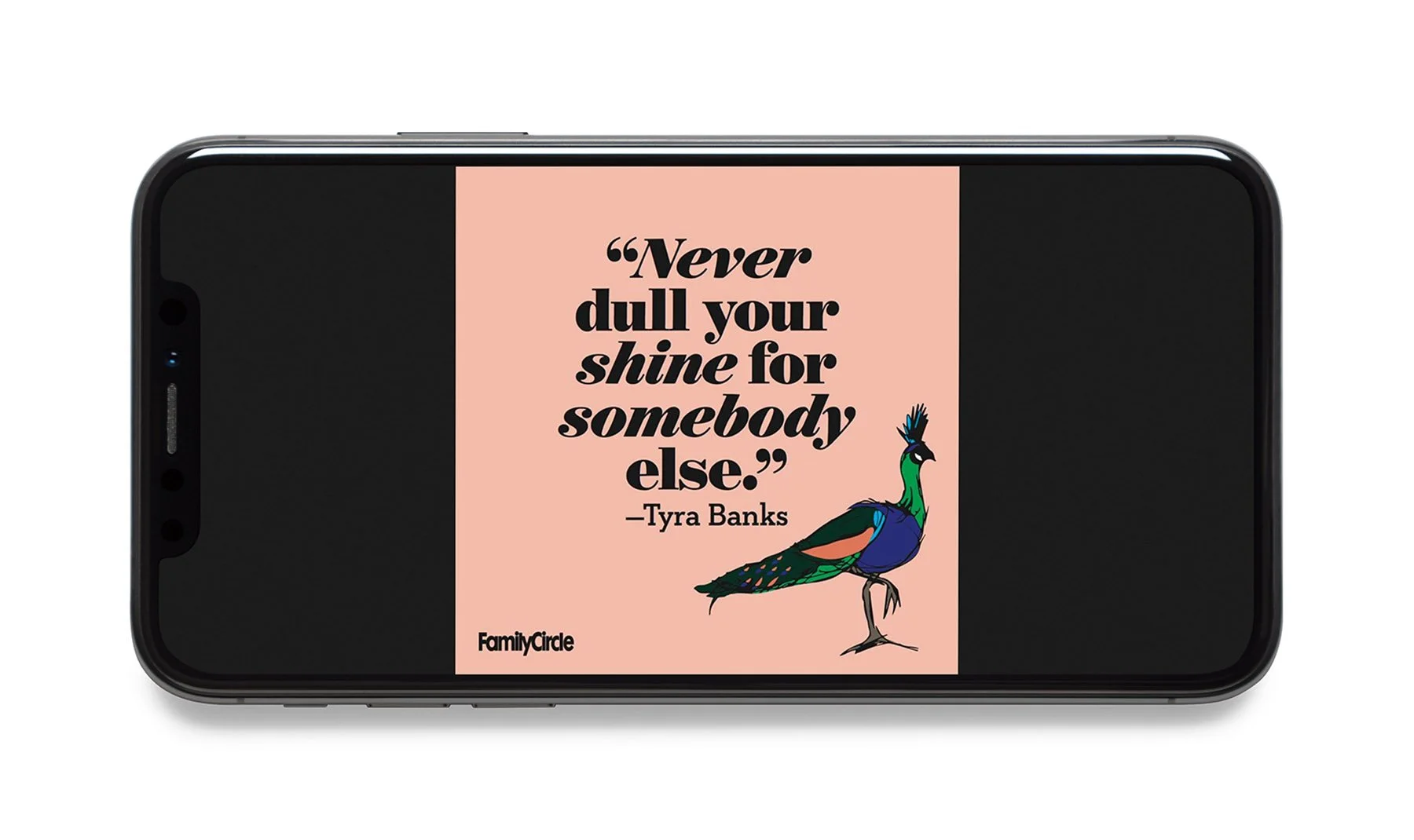 Design & Illustration