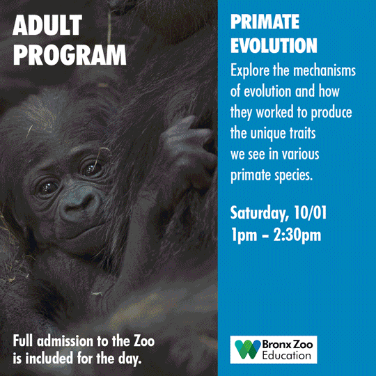 Social Media Management