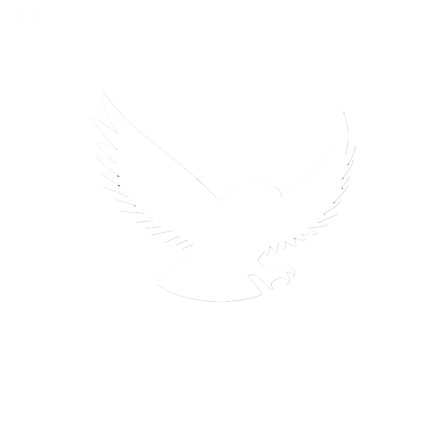 Portfolio — White Owl Wedding Films