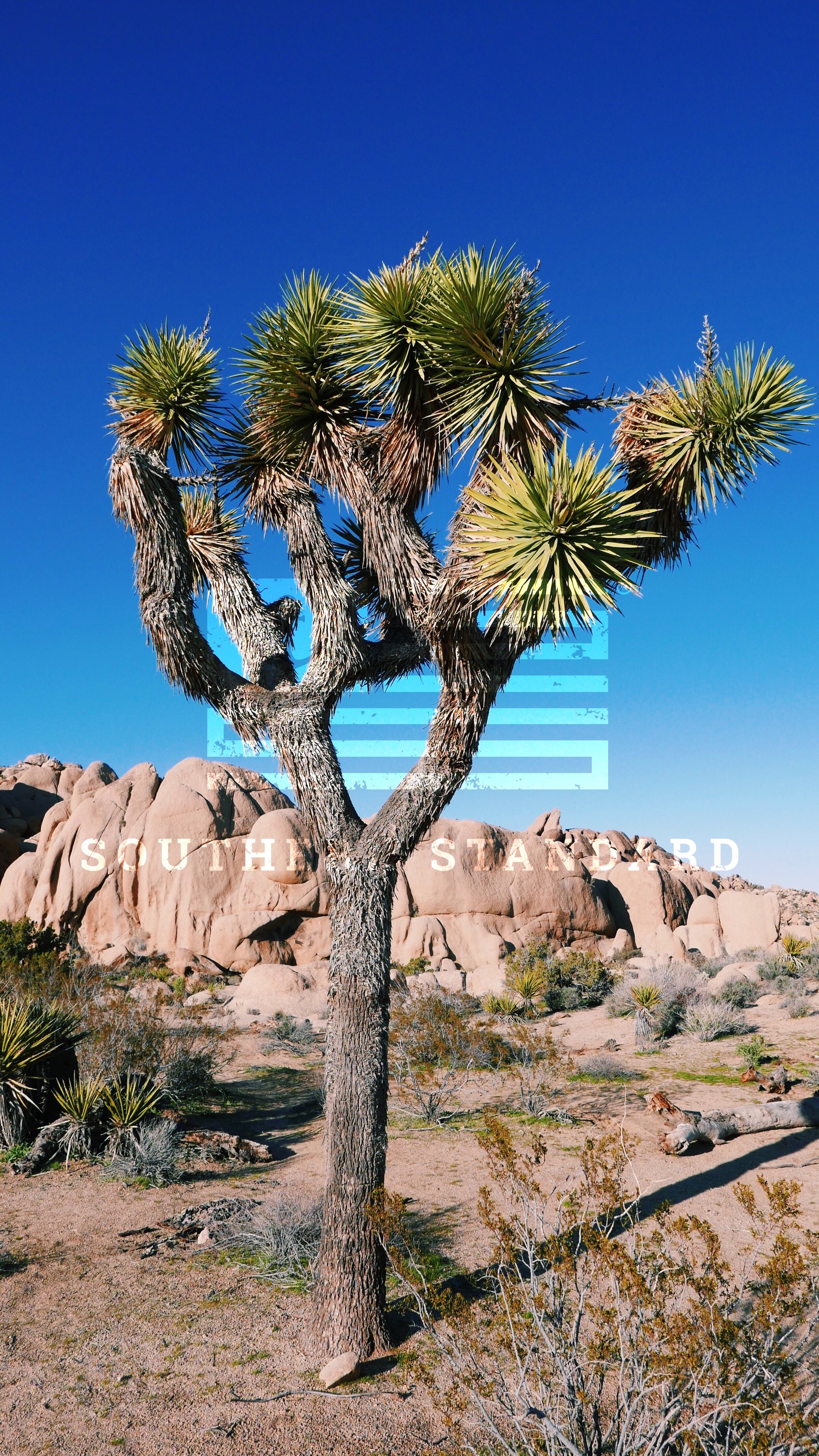 Joshua Tree National Park
