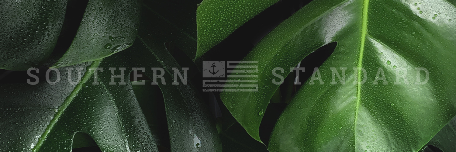 Header28.png