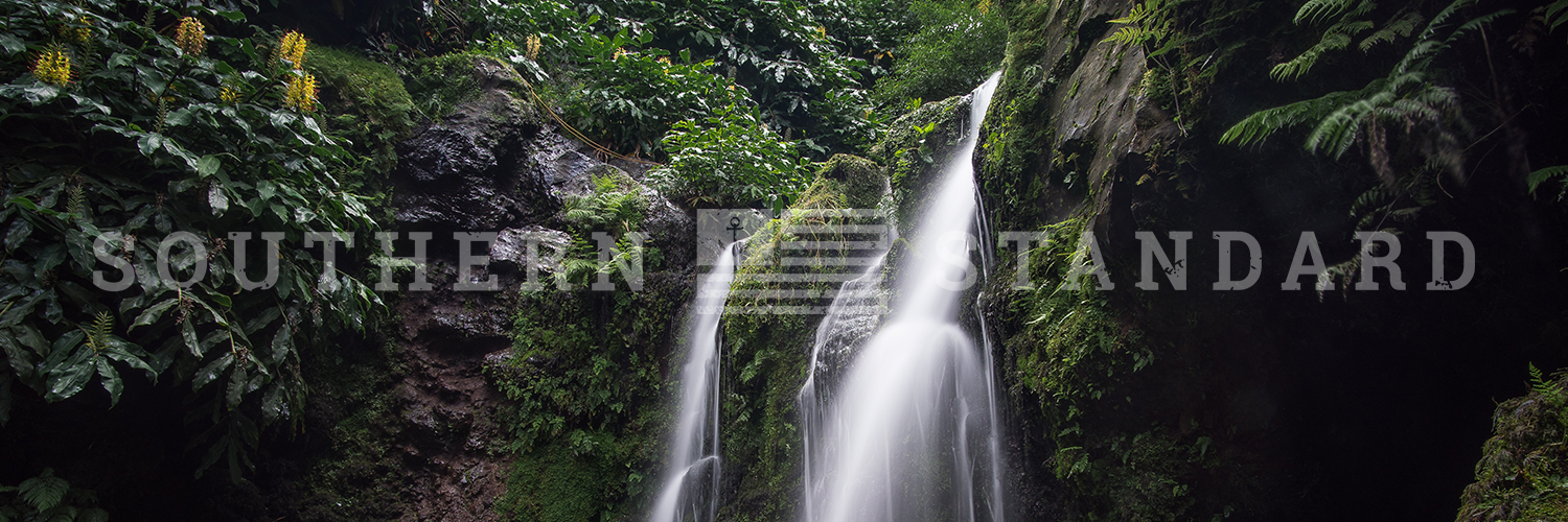Header37.png