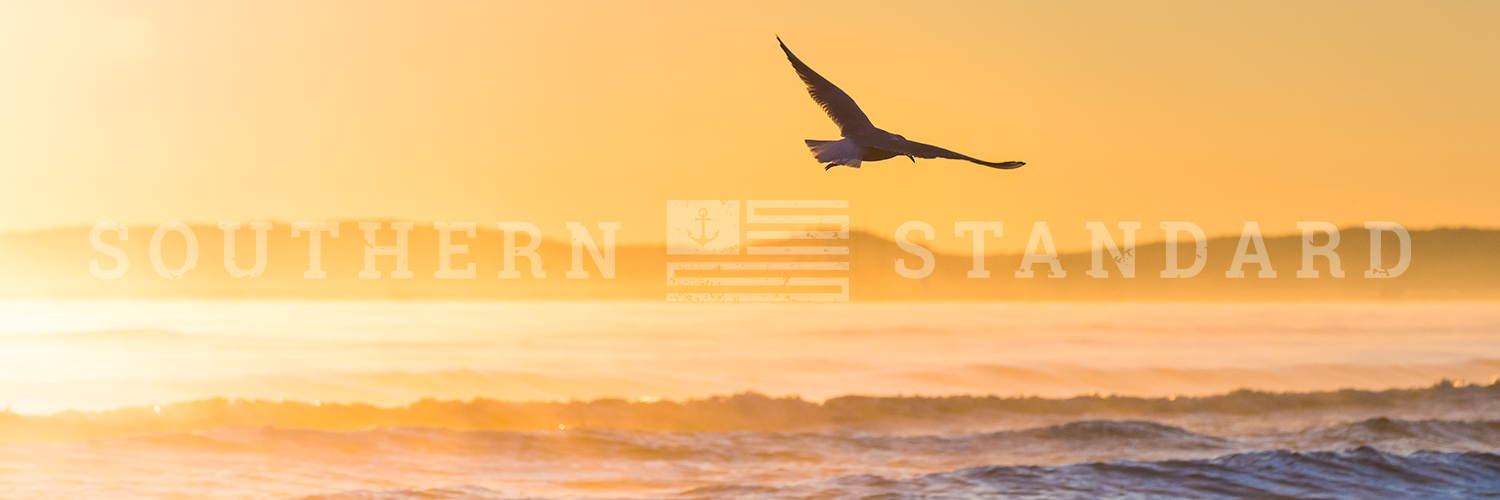 Southern Standard Co Twitter Headers