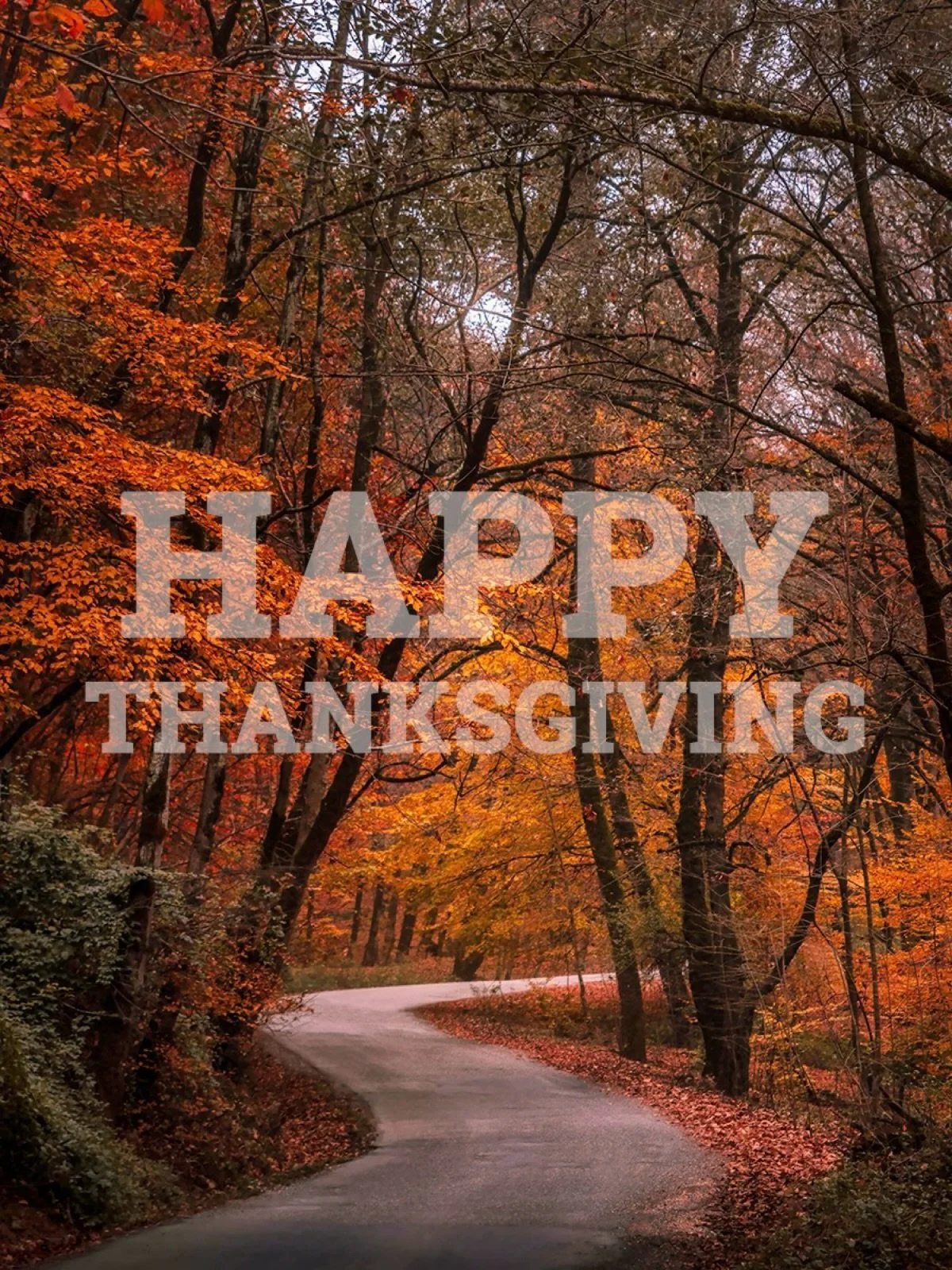 Happy Thanksgiving! Hope the road you&rsquo;re on today leads you to good food, warm company and exactly where you want to be.