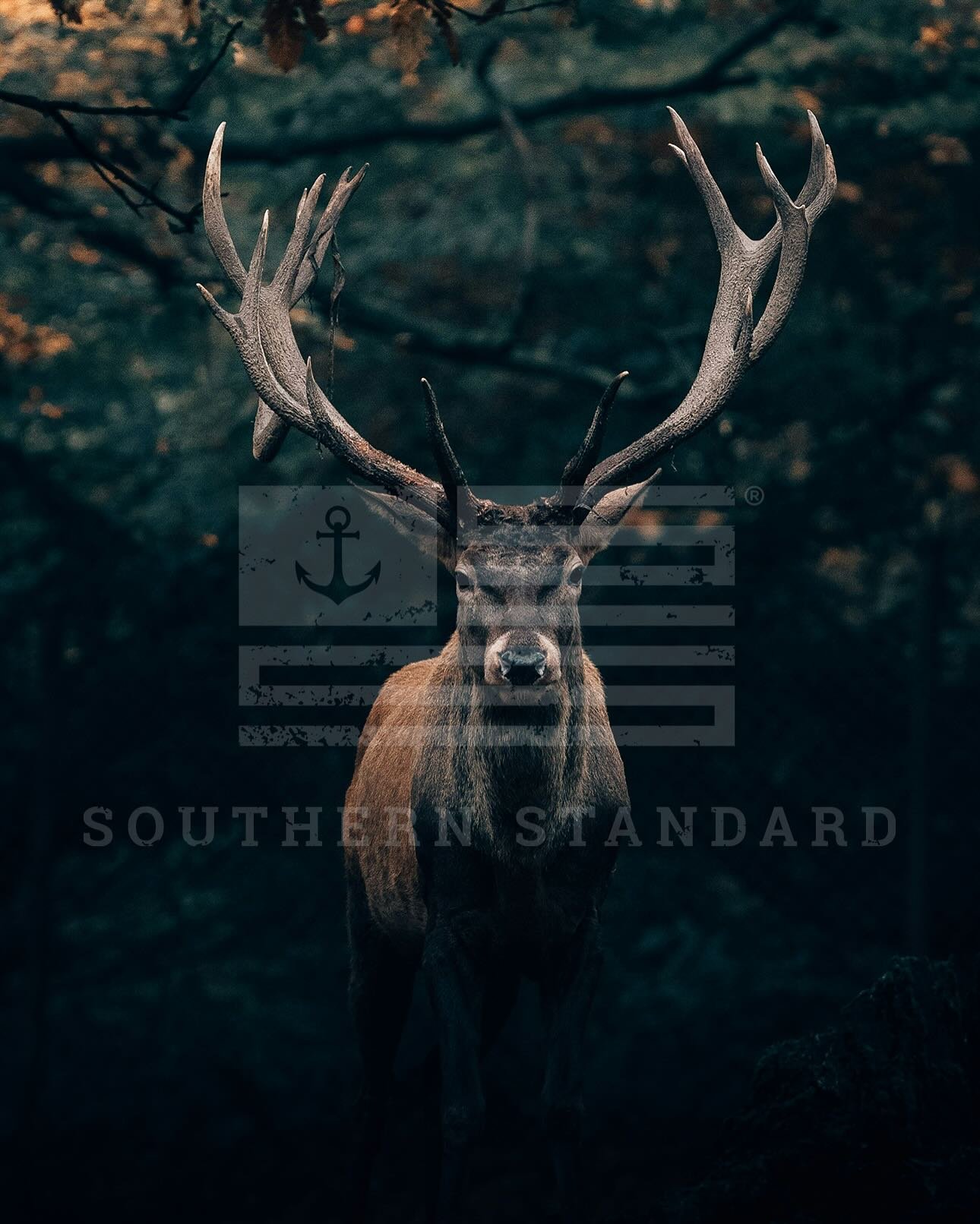 Our newest wallpapers are here&hellip;