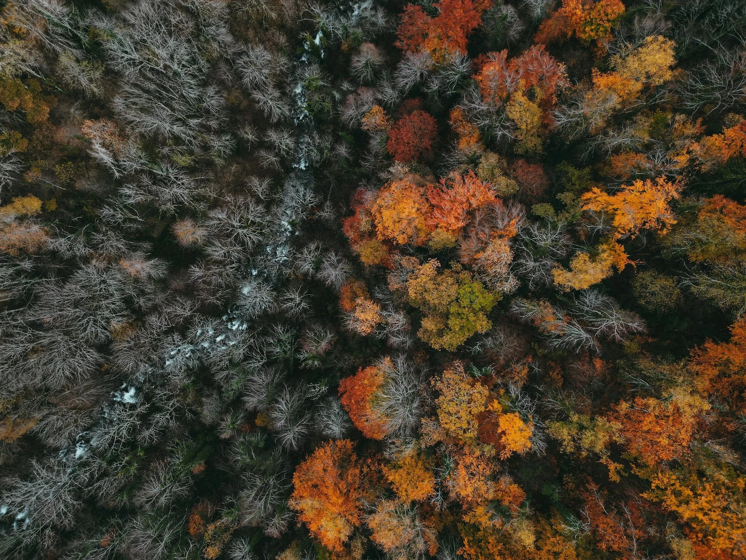 unsplash-image-wrXMIkHLIo0.jpg