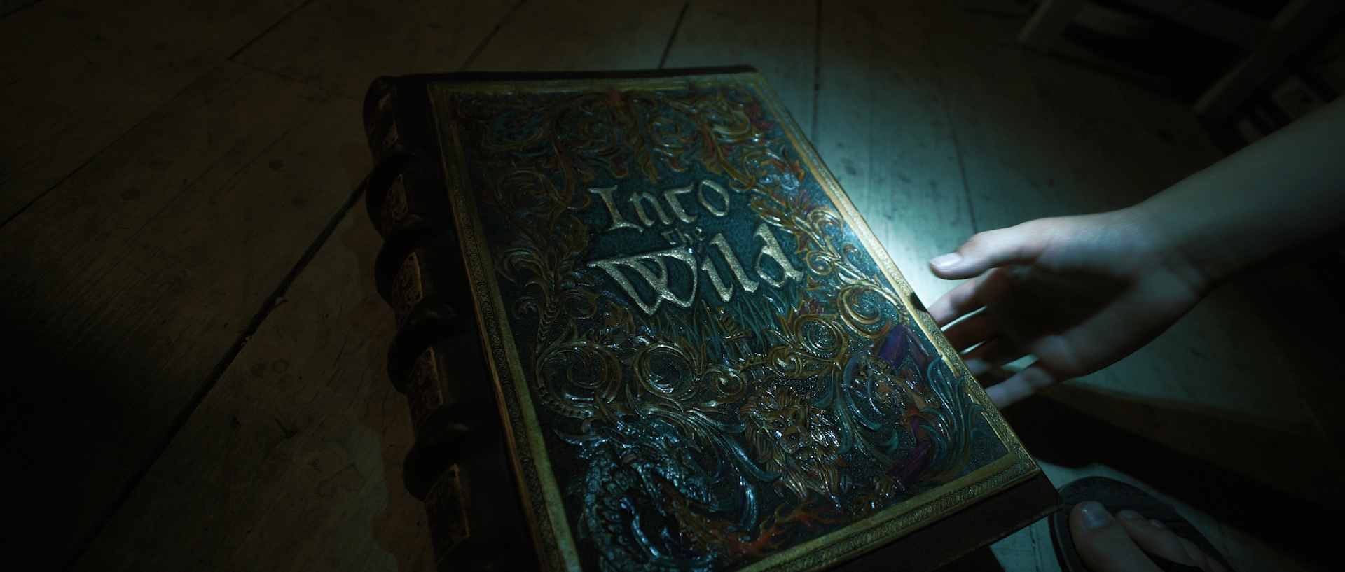 Into the Wild Book.png