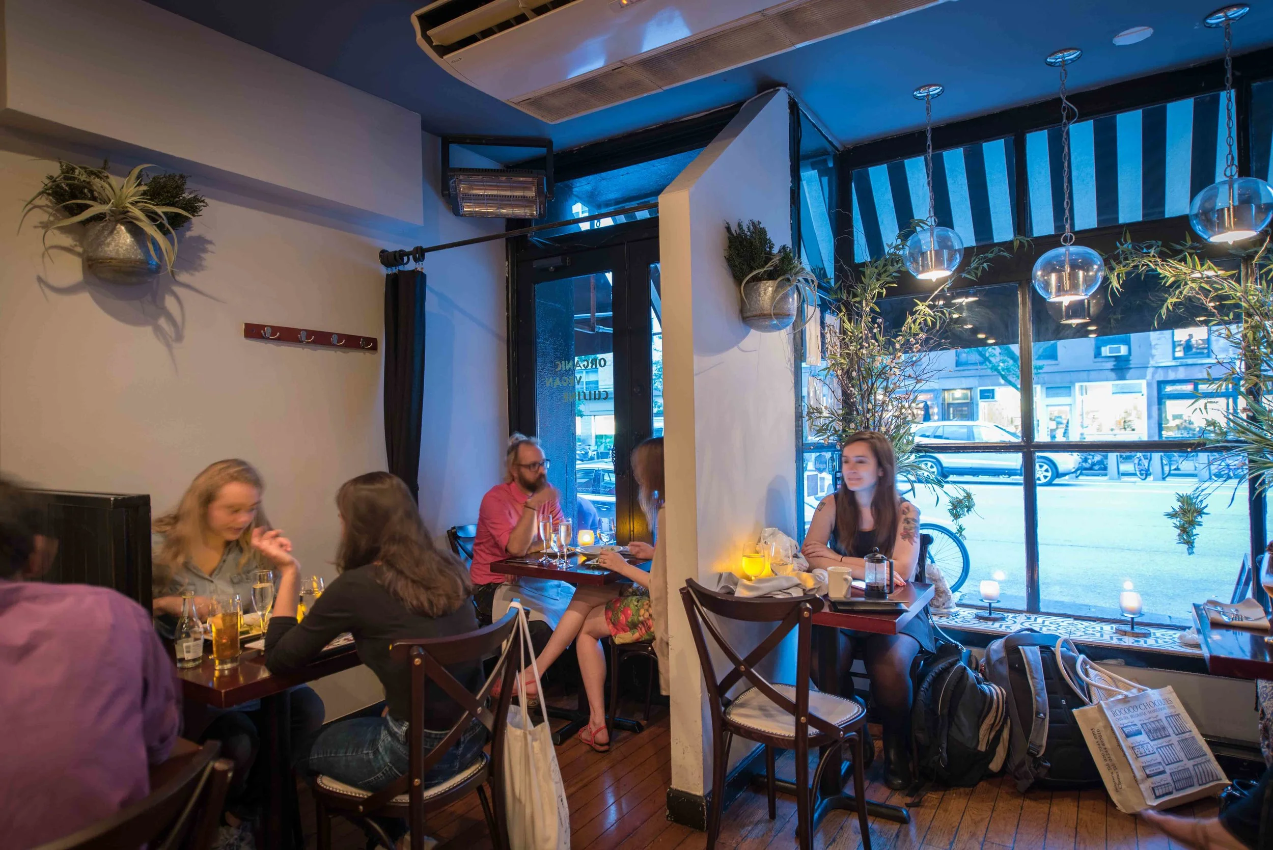 Blossom Restaurant — Blossom Restaurants