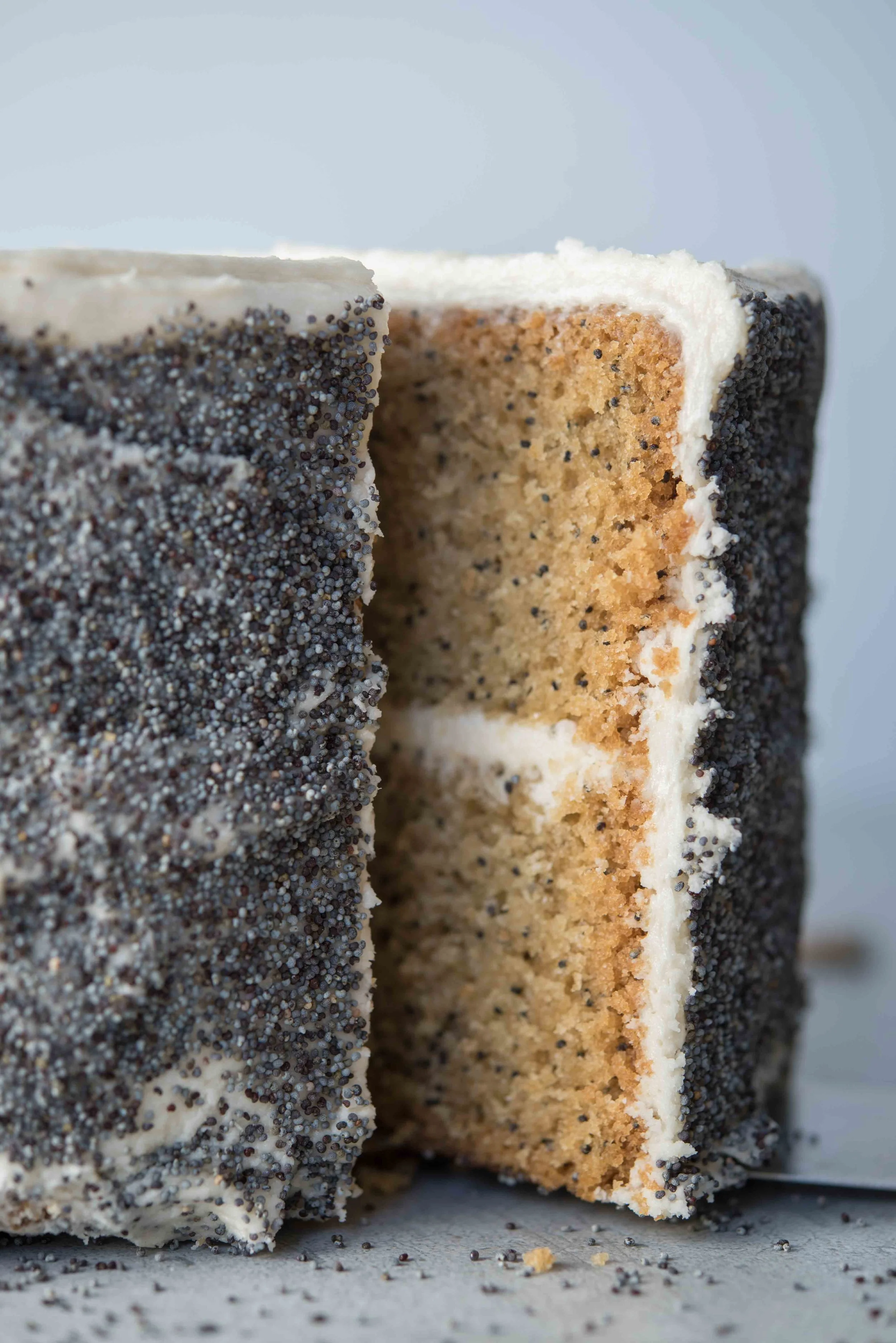 A. Etling Photography-2540.jpg