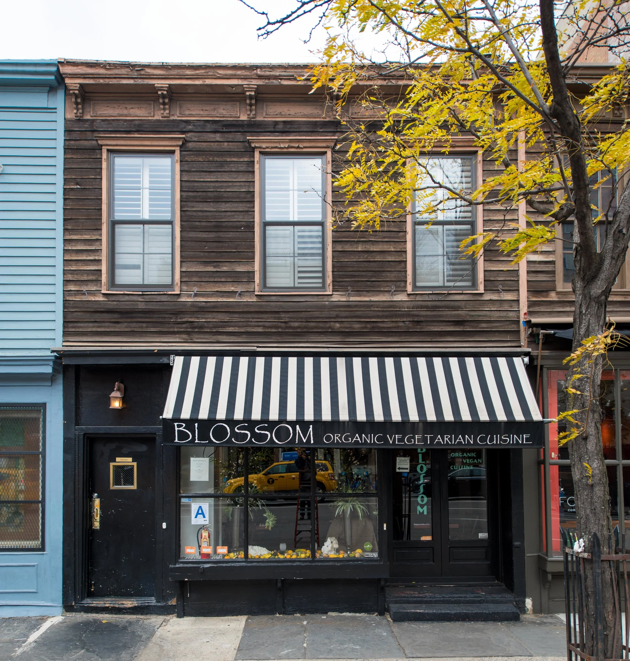 A. Etling Photography - 11.21.2016 - DSC_2734.jpg