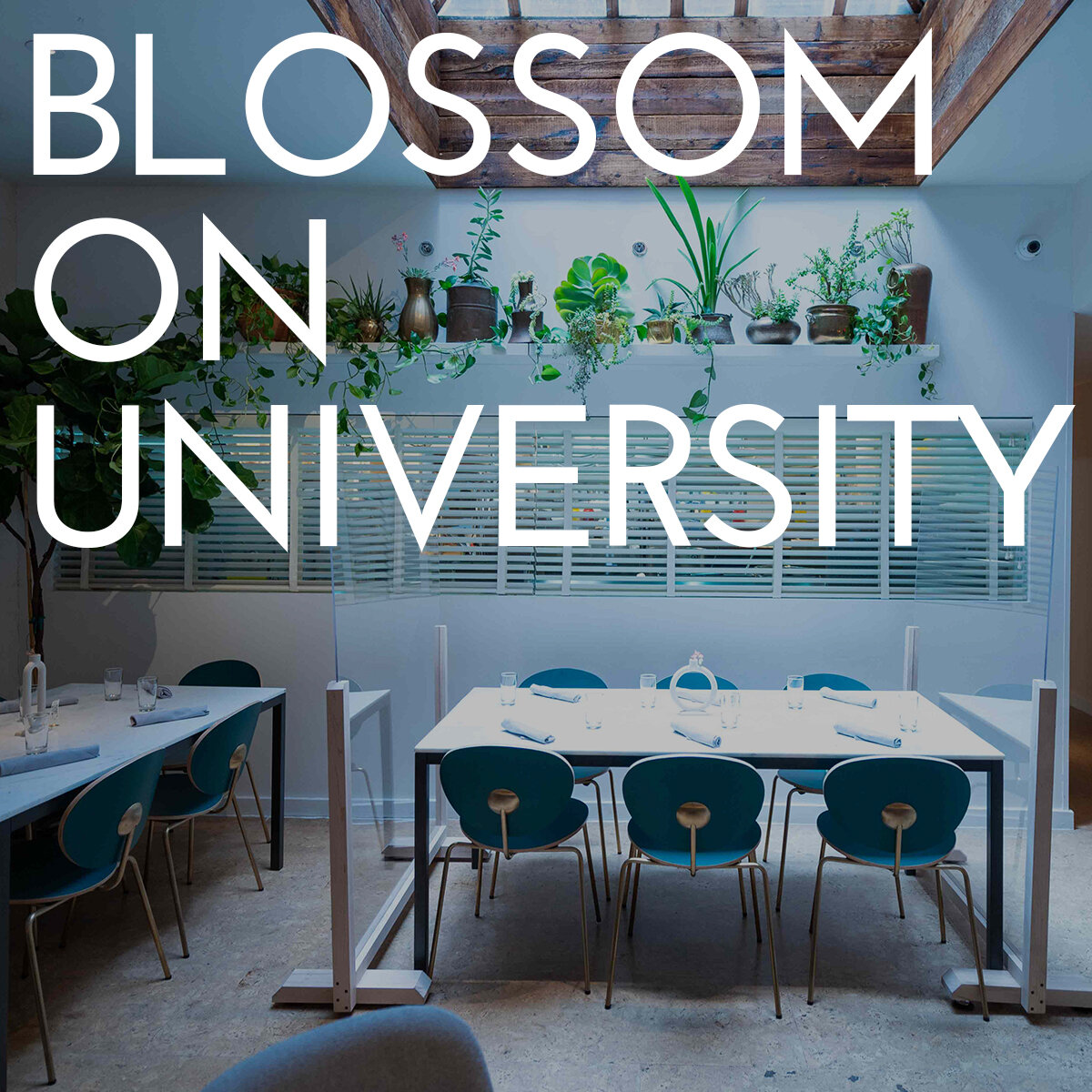 Christmas Eve Prix Fixe from Blossom on University