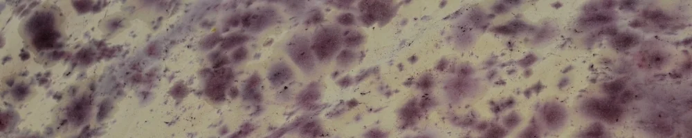 _13B3880.jpg