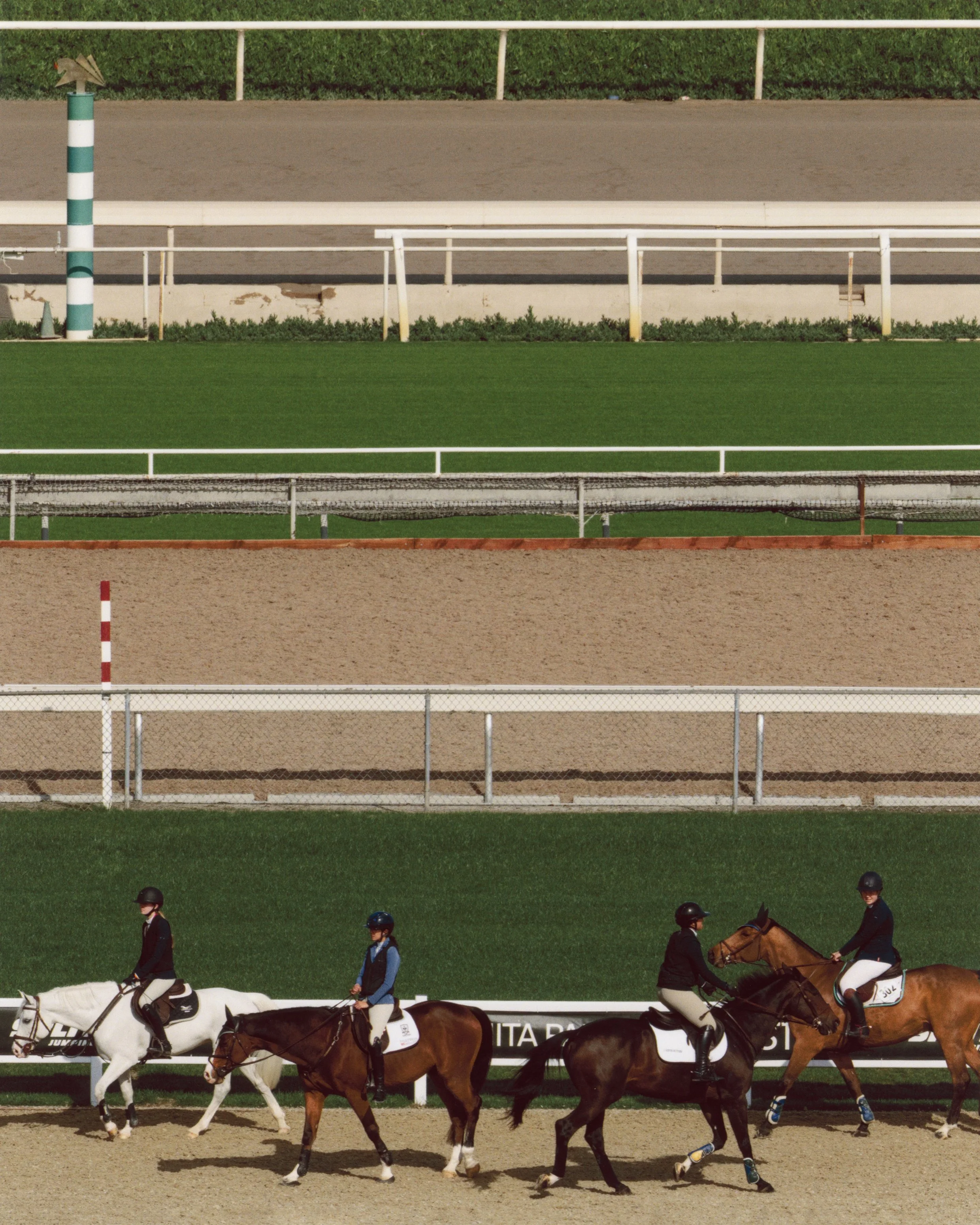 PAP20251202_10291243 copy 2.jpg