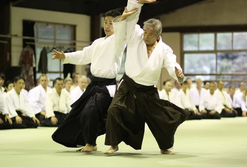 Shimizu Sensei in Lahr / Schwarzwald