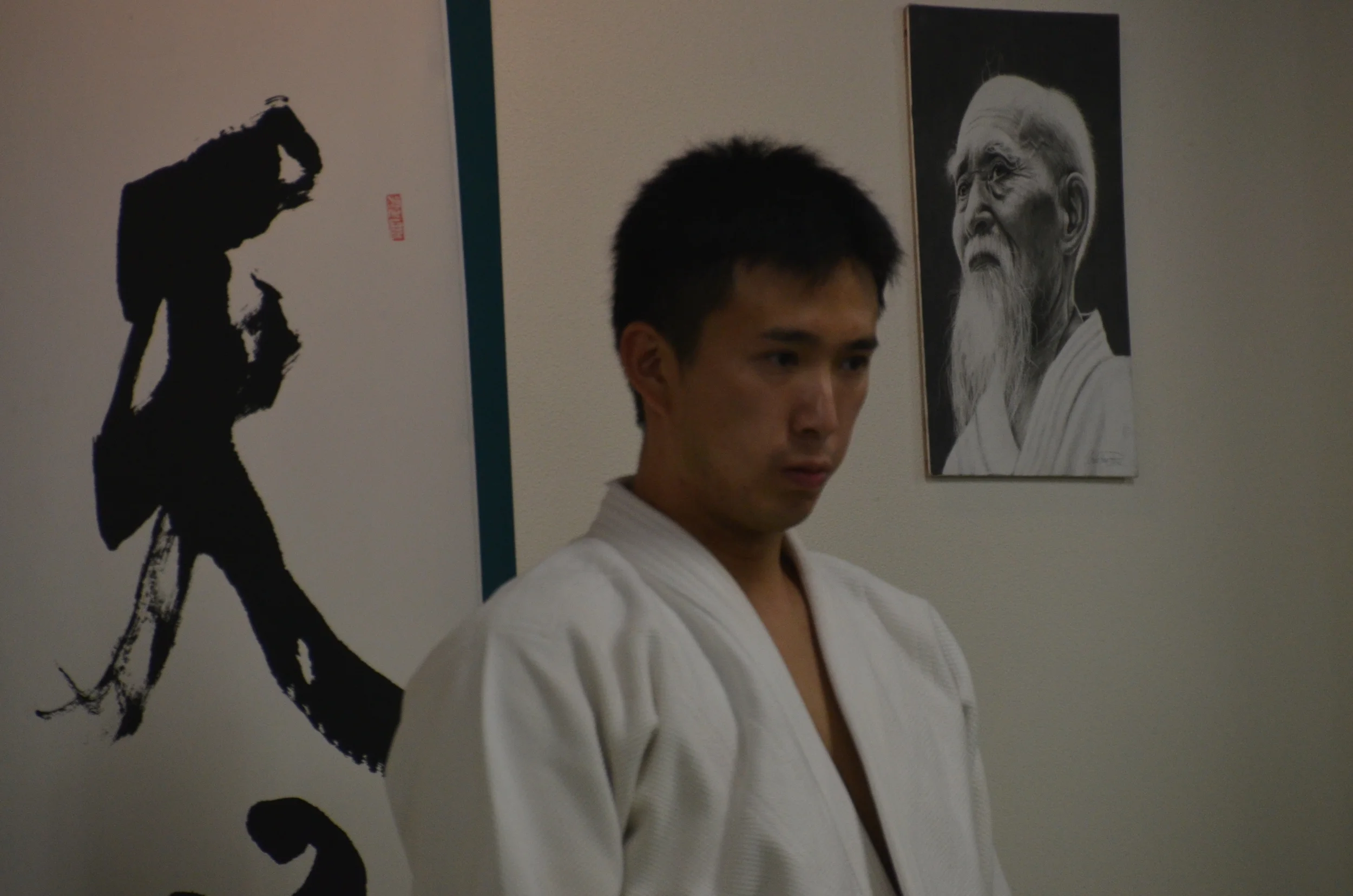 Tendoryu Aikido Seminar with Waka Sensei Kenta Shimizu , Tendokan DojoCho, in Italy