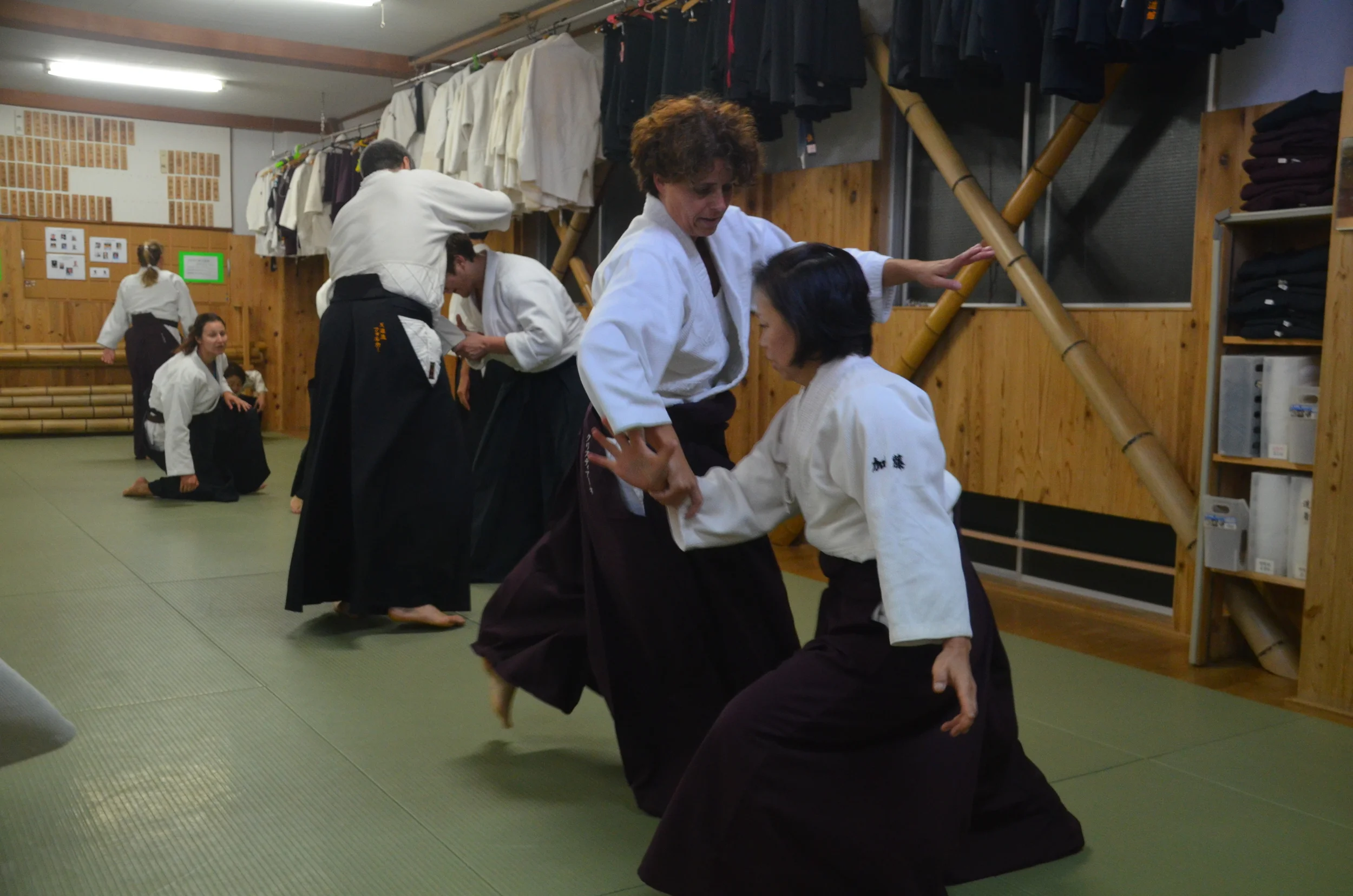 Jedes Mal Neues entdecken