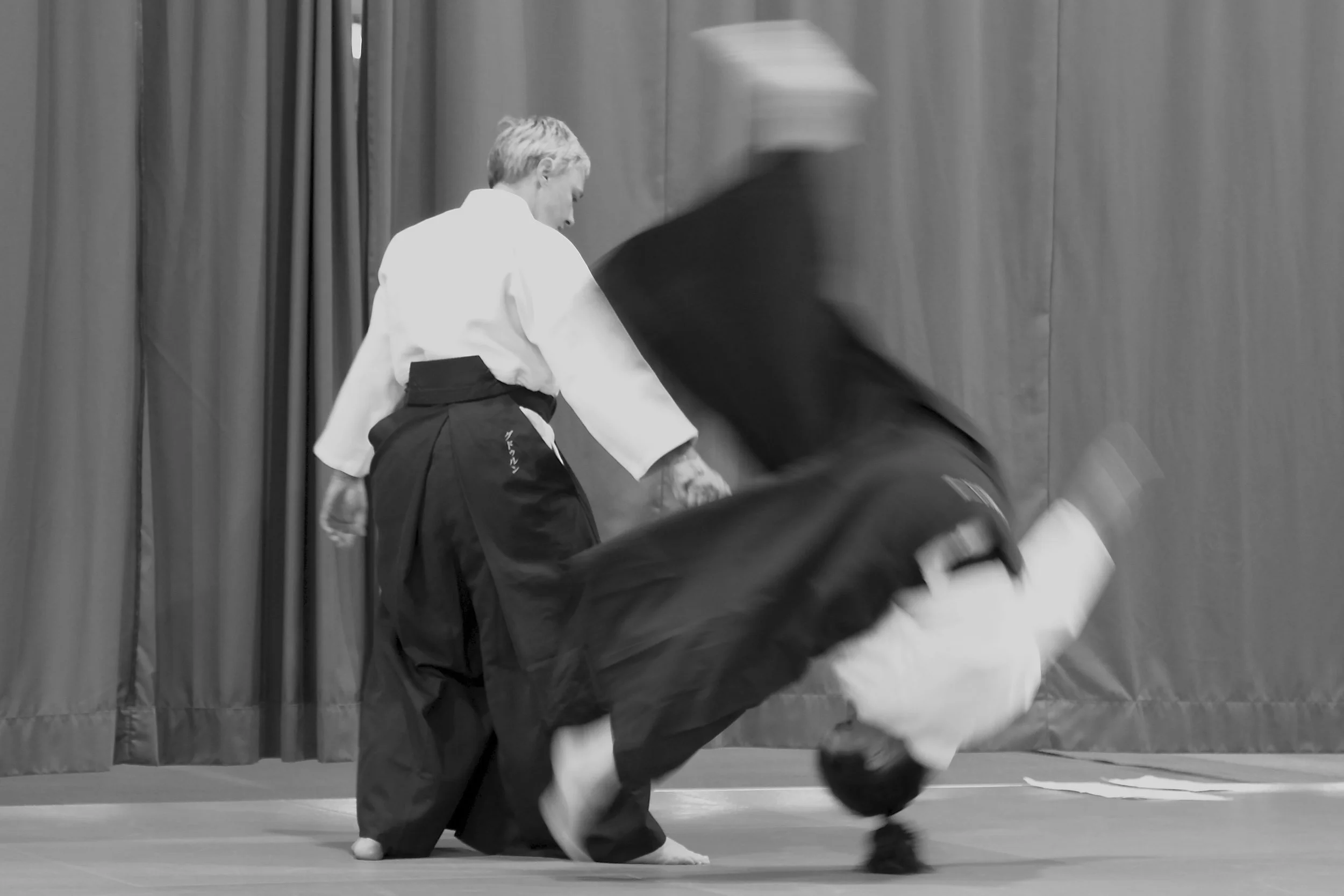 Aikido Anfänger-Workshop