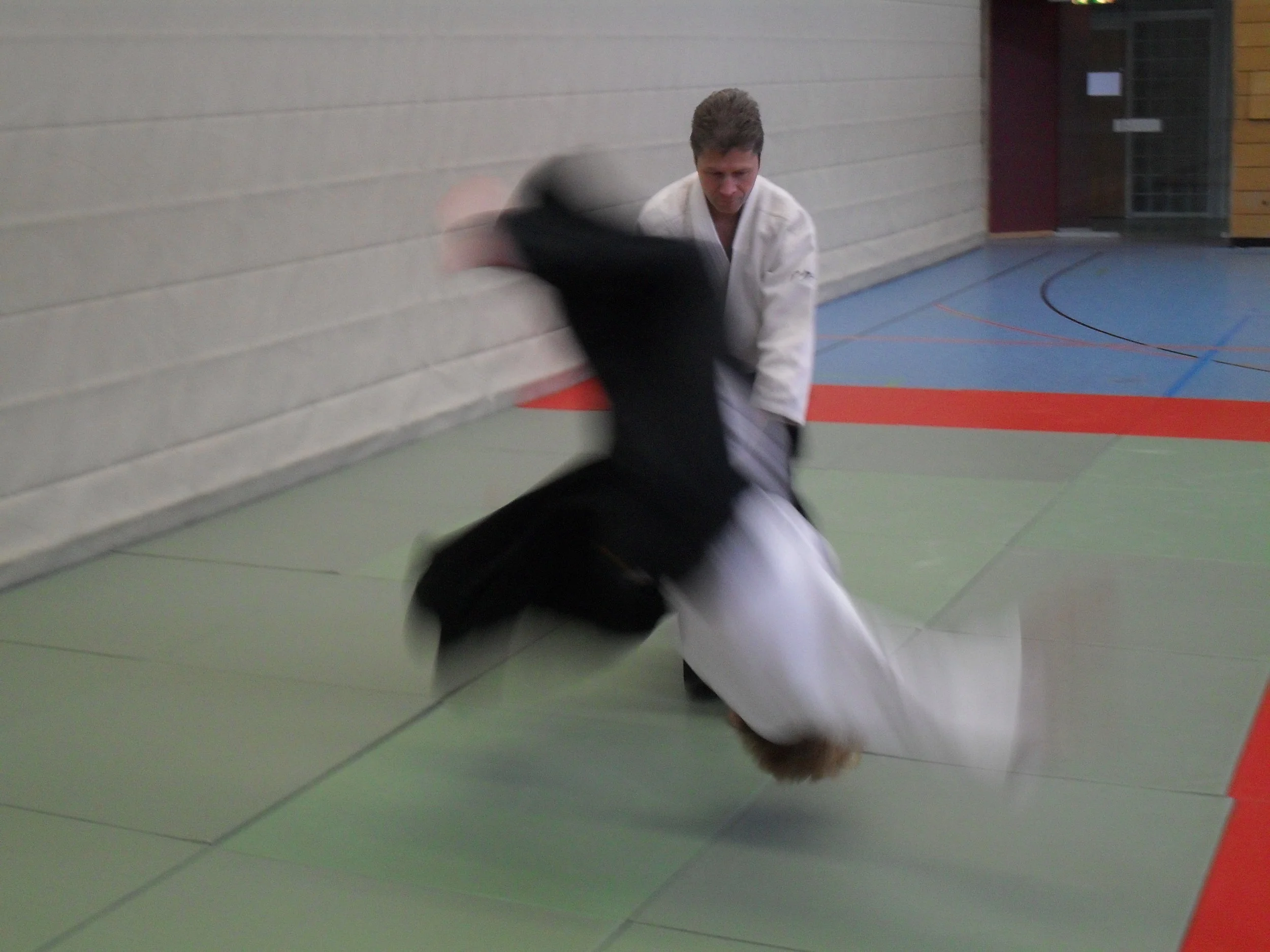 Sektions-Lehrgang mit Axel Bergemann (4. Dan)