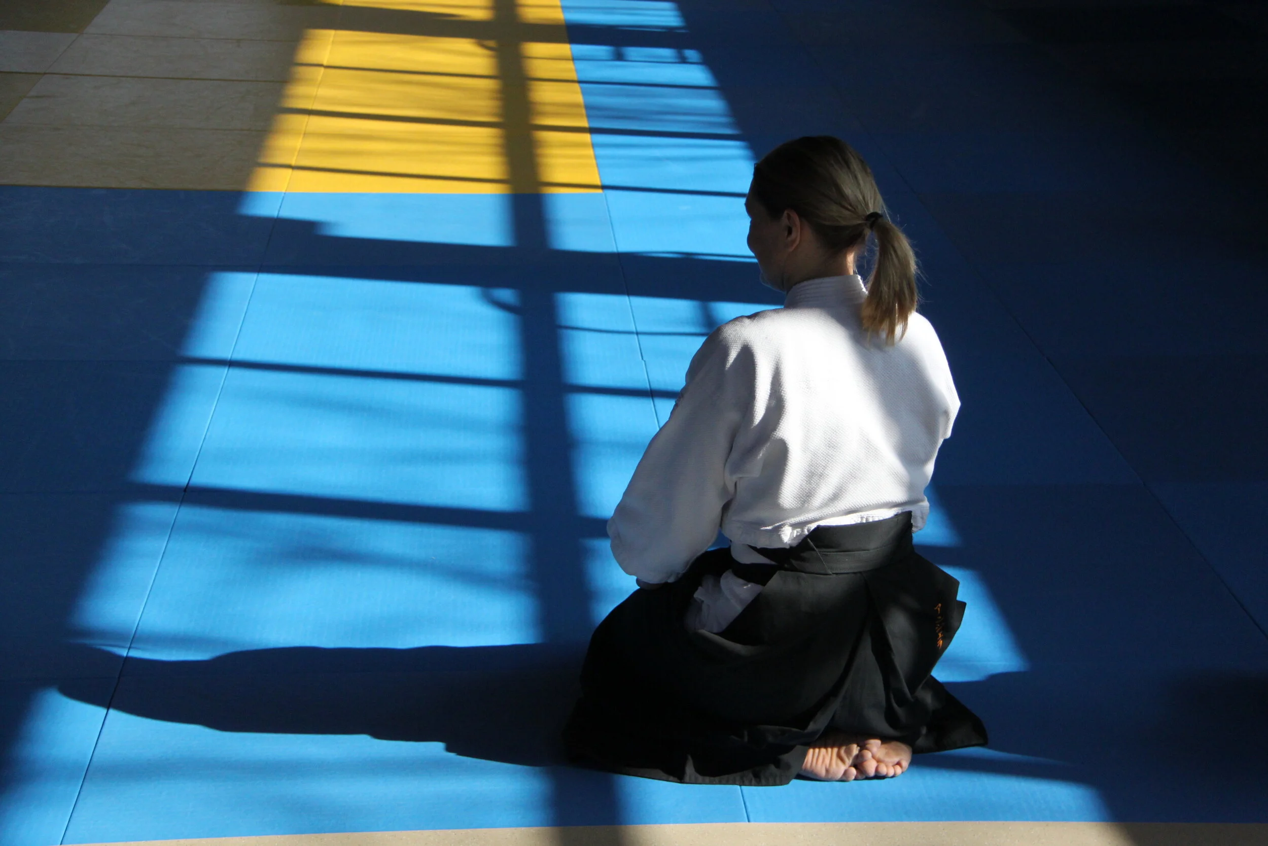 Interims Aktionen - aikido in Corona Zeiten