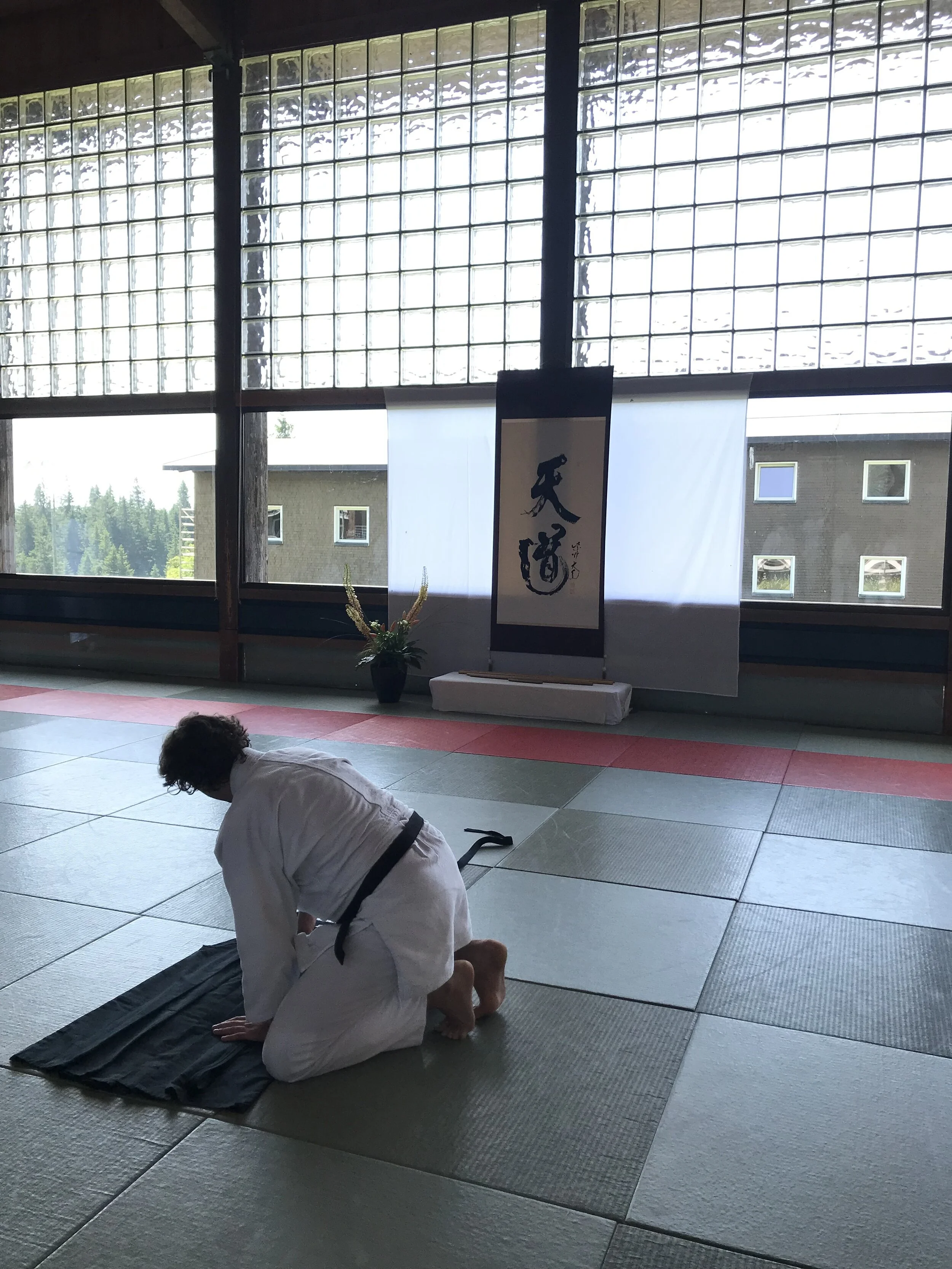 Interim No2: Gesammelte Gedanken mitteilen