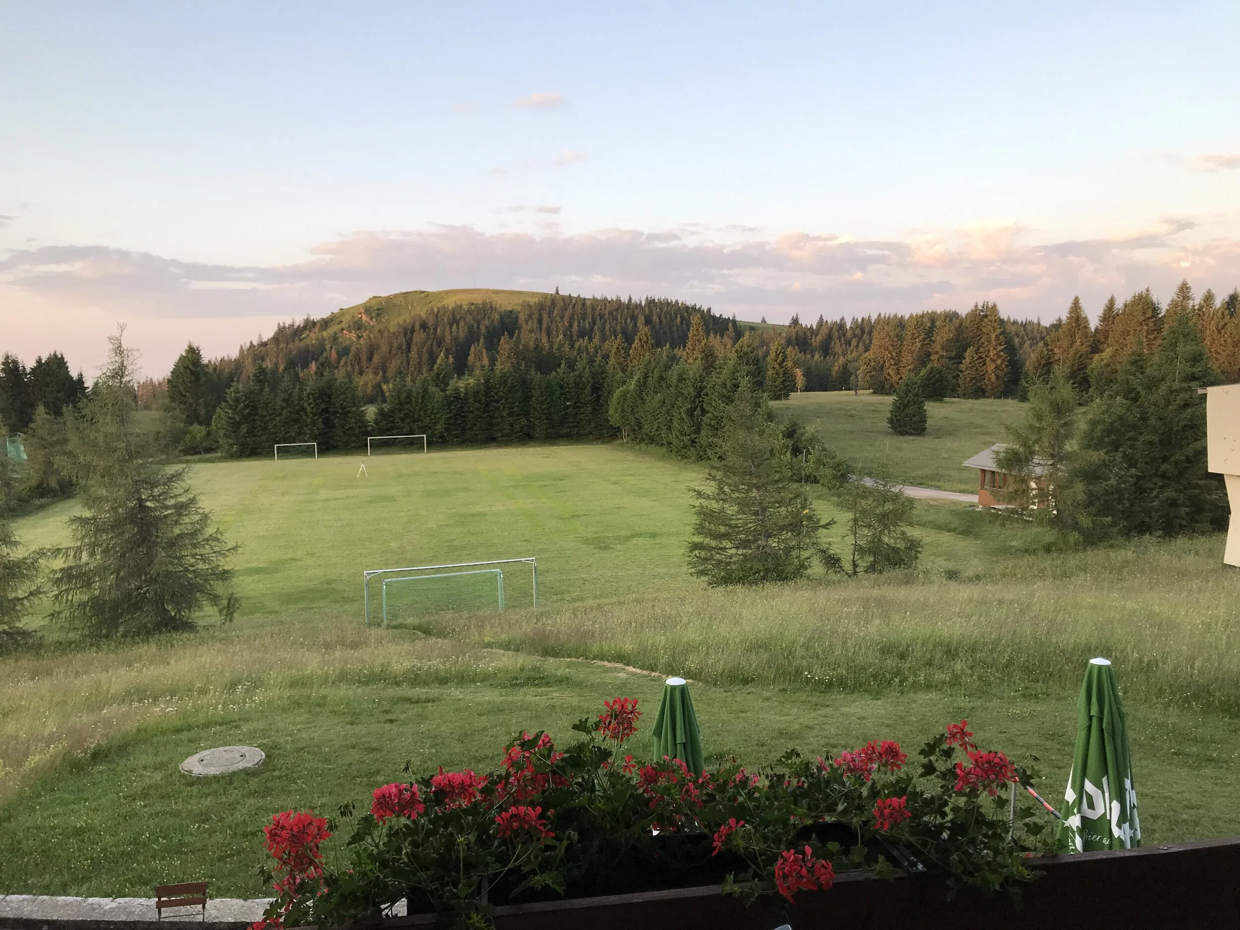 Trainingswoche im November: 11 Trainer - 11 Trainings