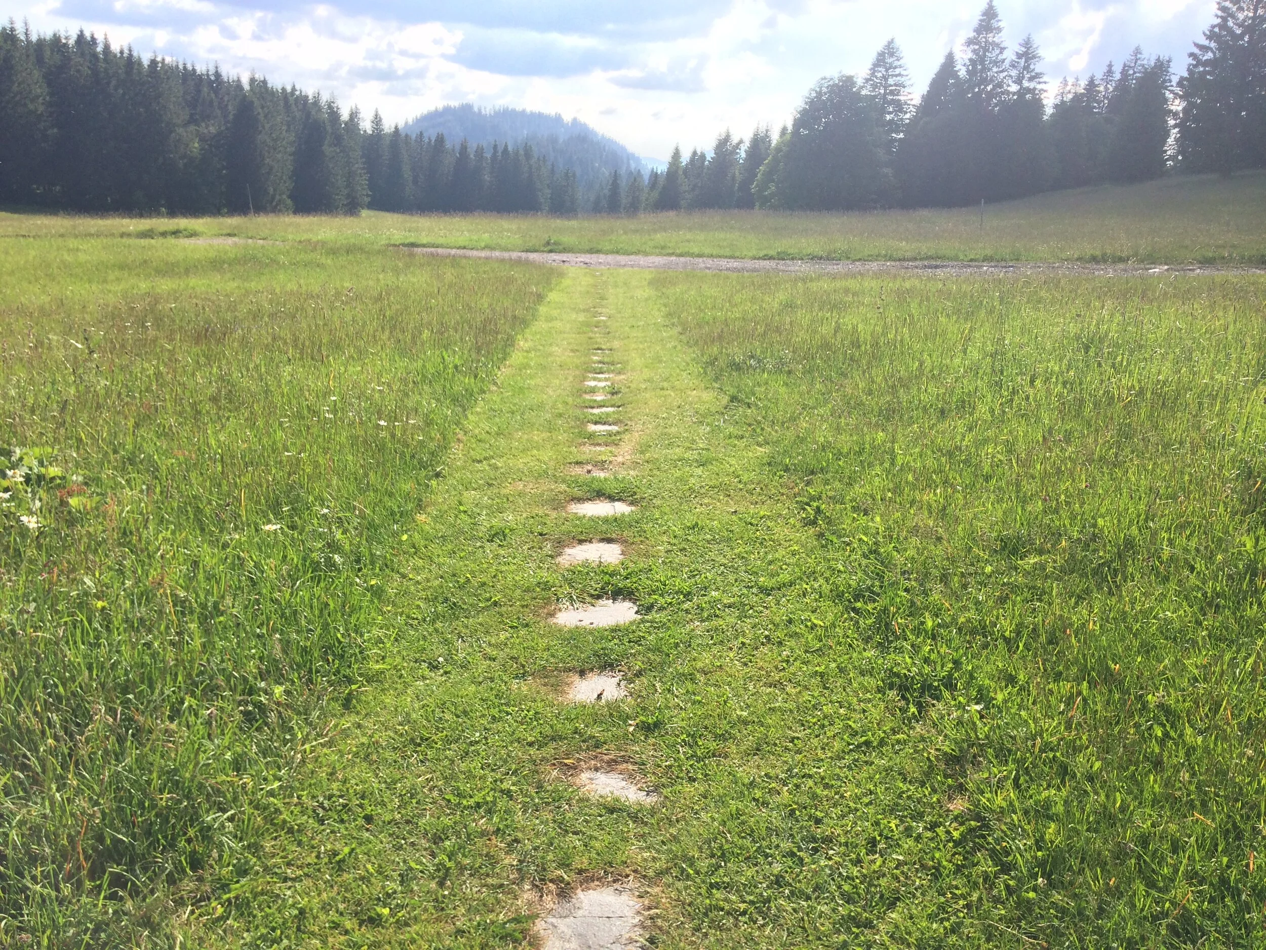 Training auf der Wiese für Kinder unter 14 Jahren