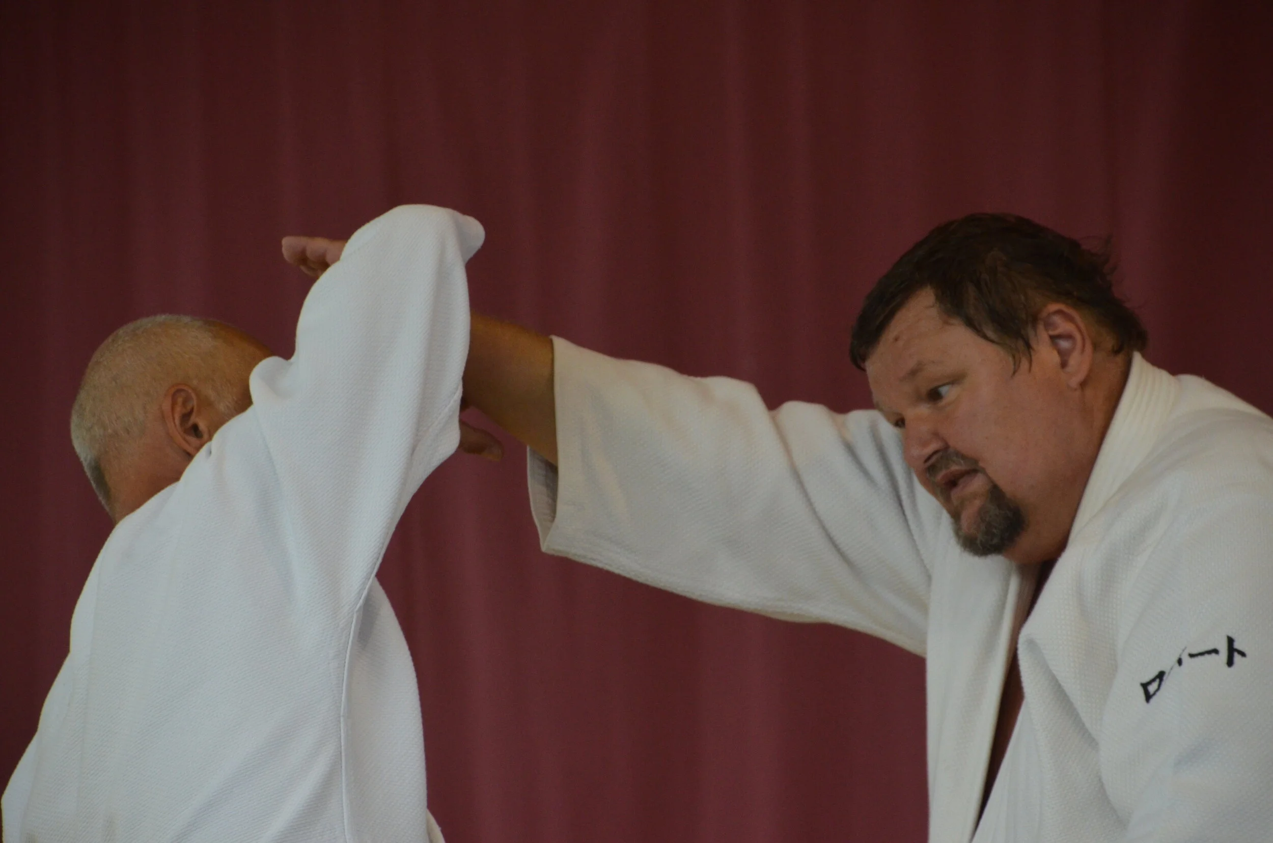 Lehrgang mit Robert Hundshammer, 6. Dan beim FTM