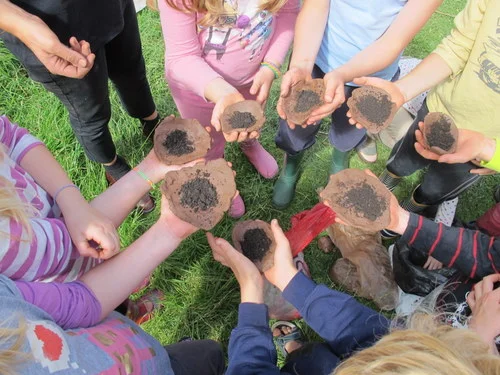  Wild flower seed bomb making