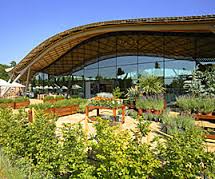  Savill Garden