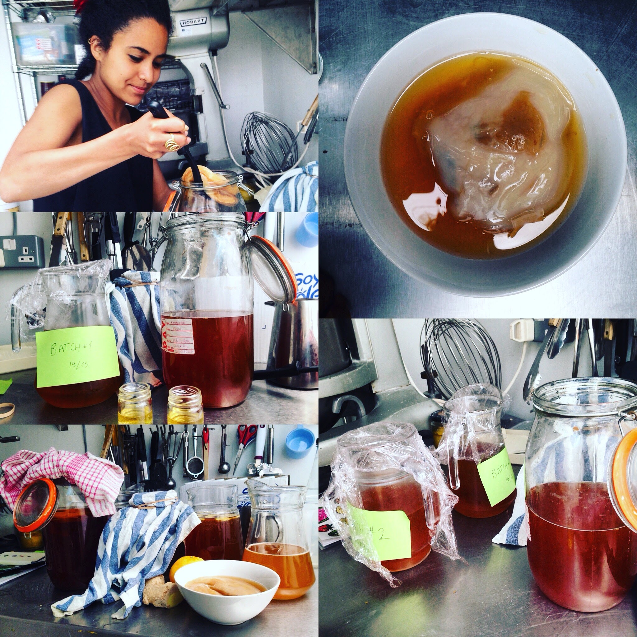 Kombucha Making with Vero