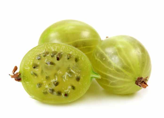 Vegetable of the Month The Goosberry: June 2016 — Global Generation