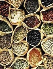 Vegetable seeds in all their diversity
