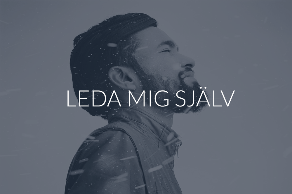 lsjalv_banner_2.png