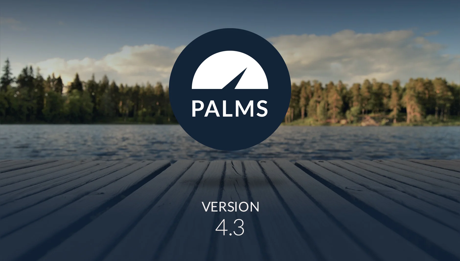 palms_43_comp.jpg