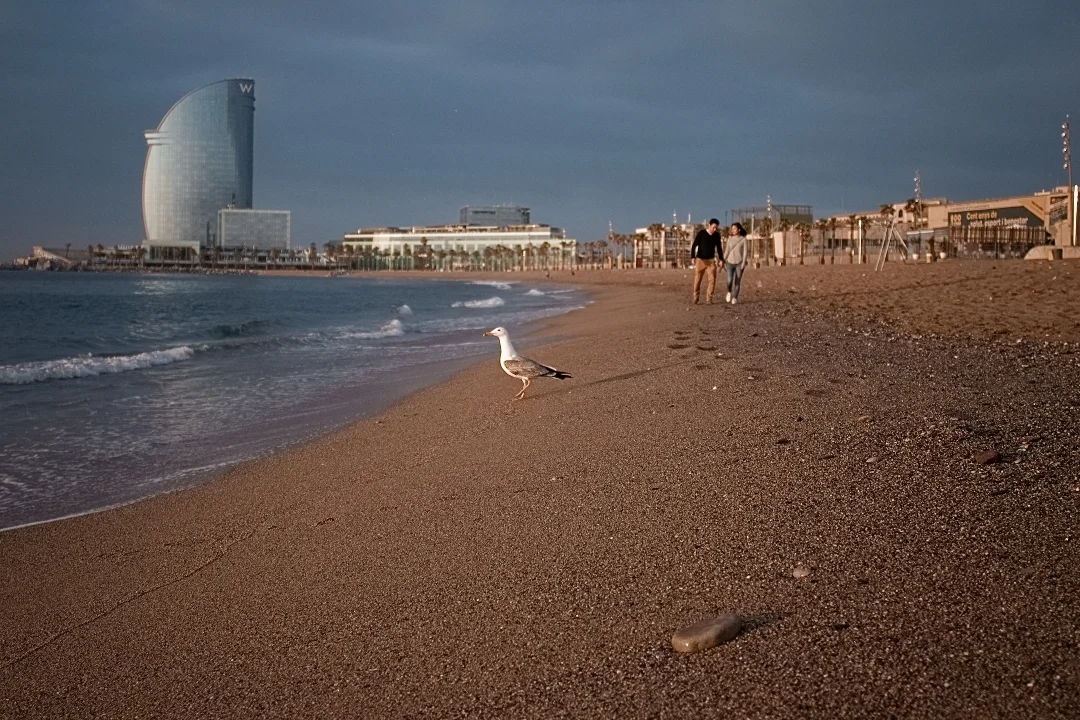 035_3479_MG_0821.jpg